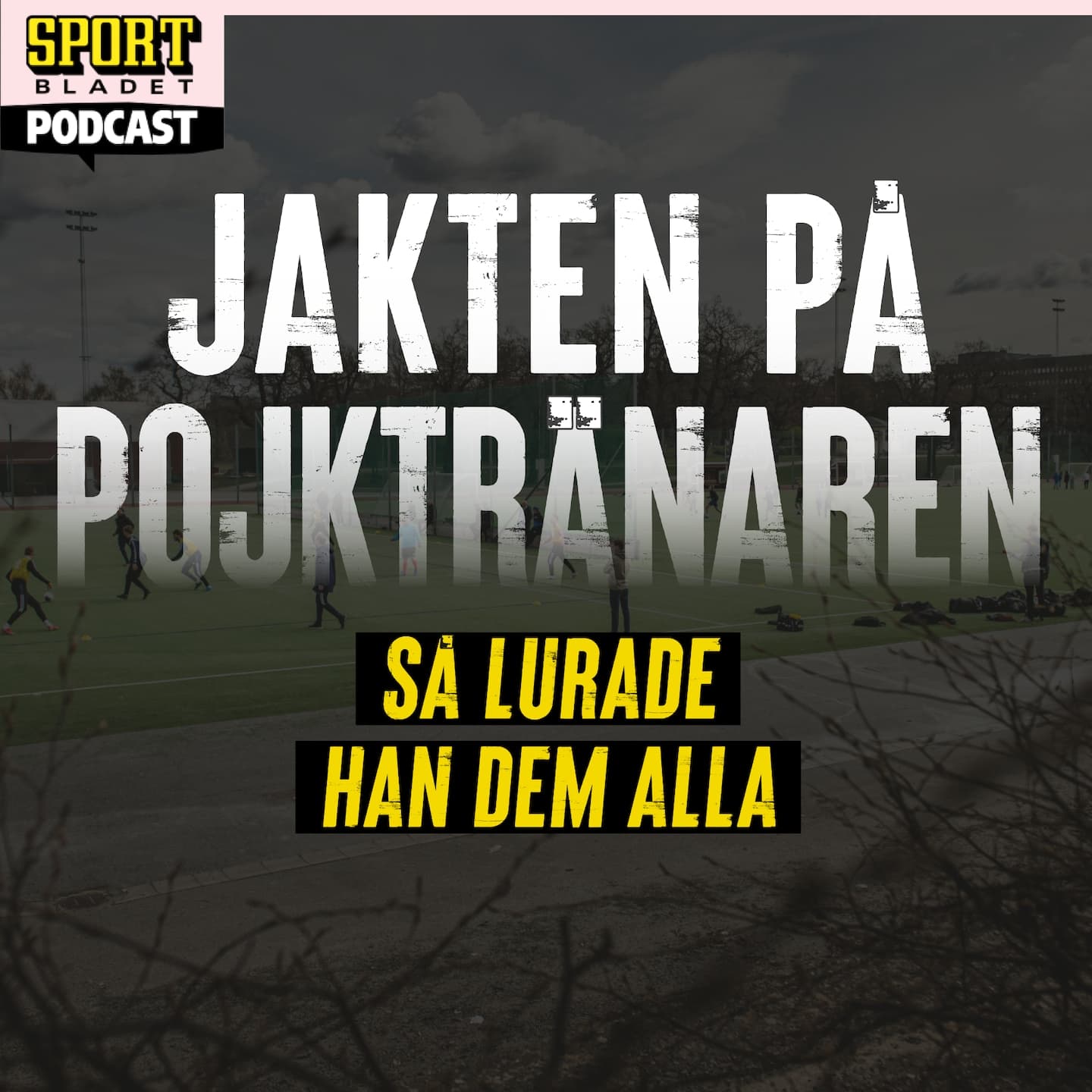 Dokumentär: Jakten på pojktränaren - del 2 artwork