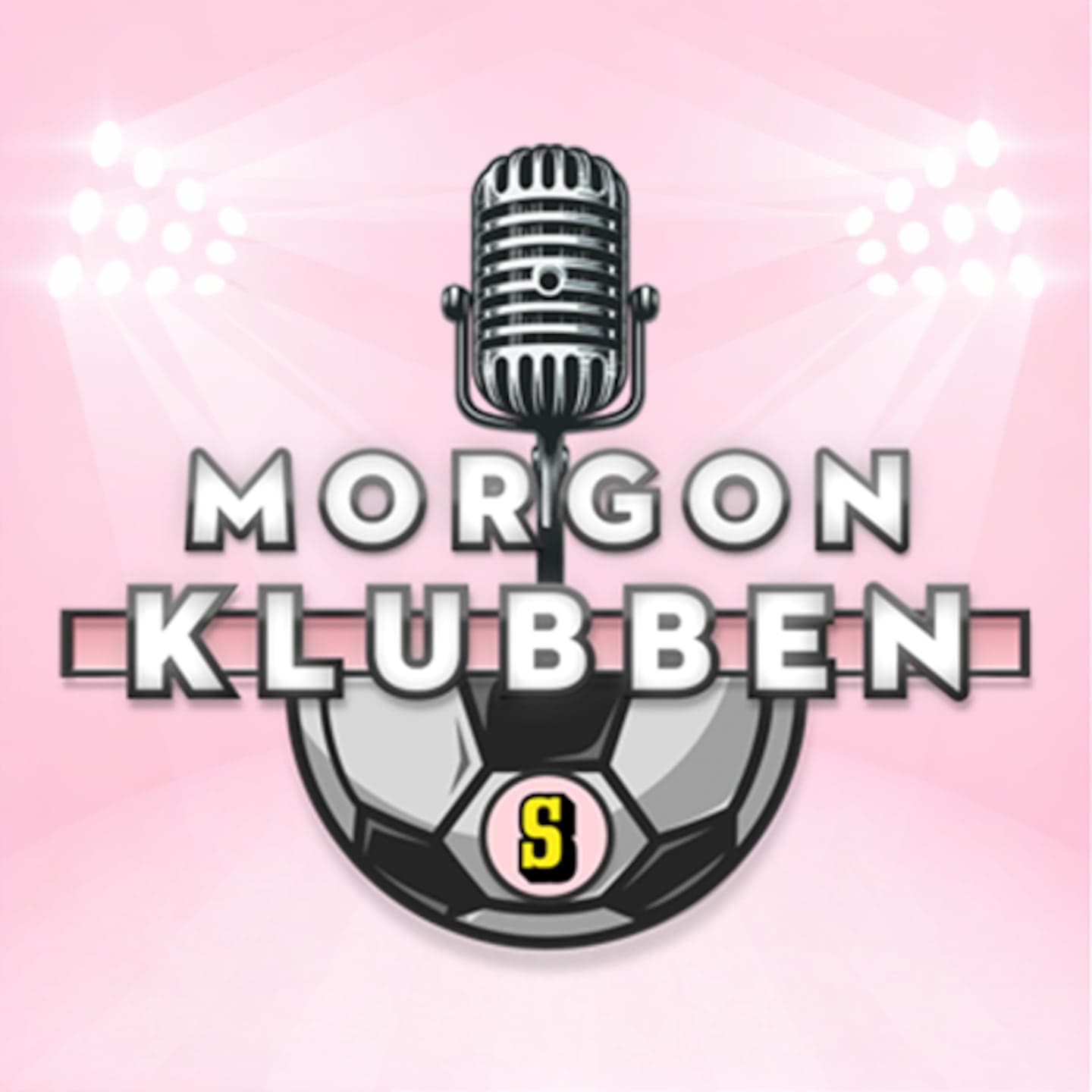 Tjafs mellan experterna: "Hur fan kan han säga det?" artwork