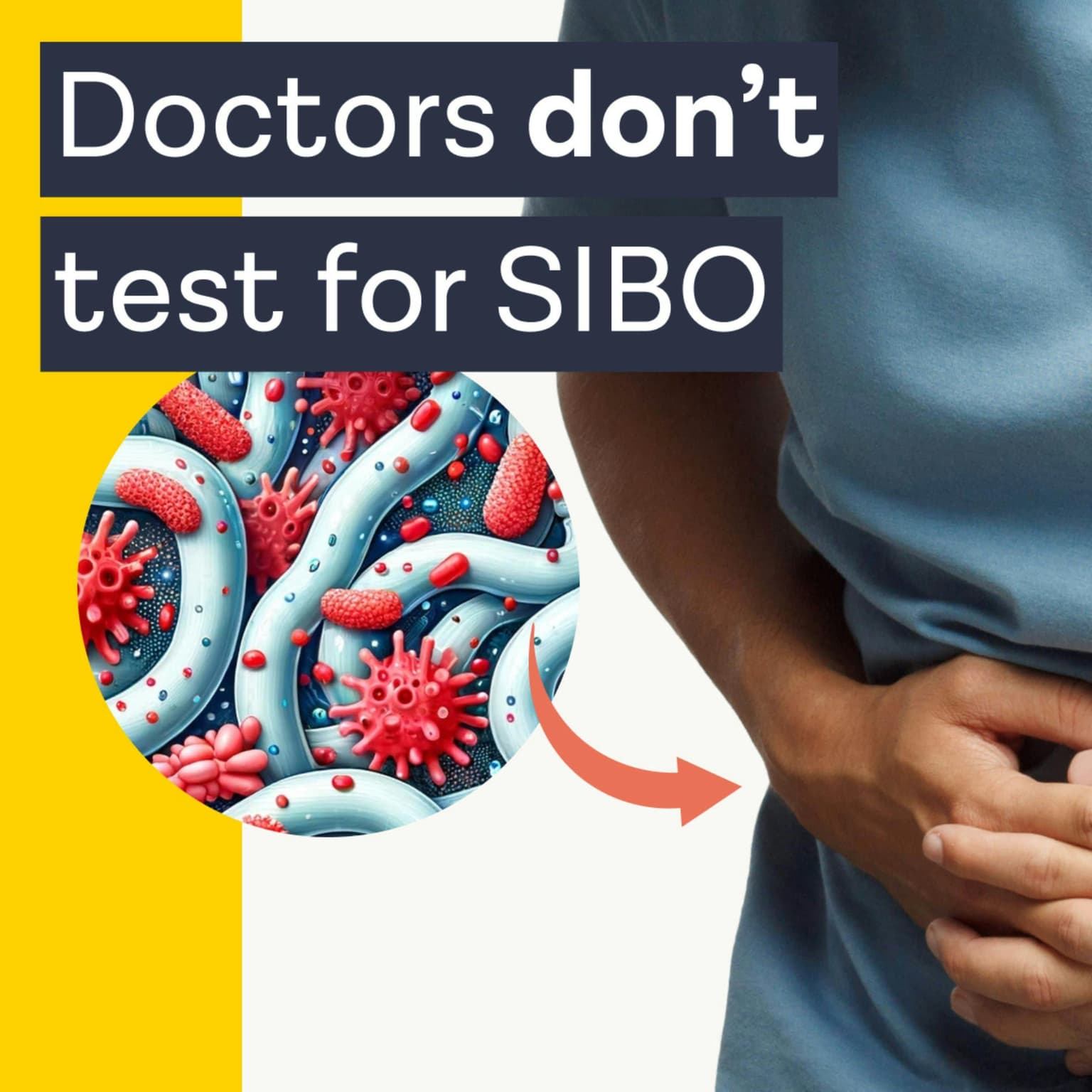 The truth about SIBO with Dr. Will Bulsiewicz artwork
