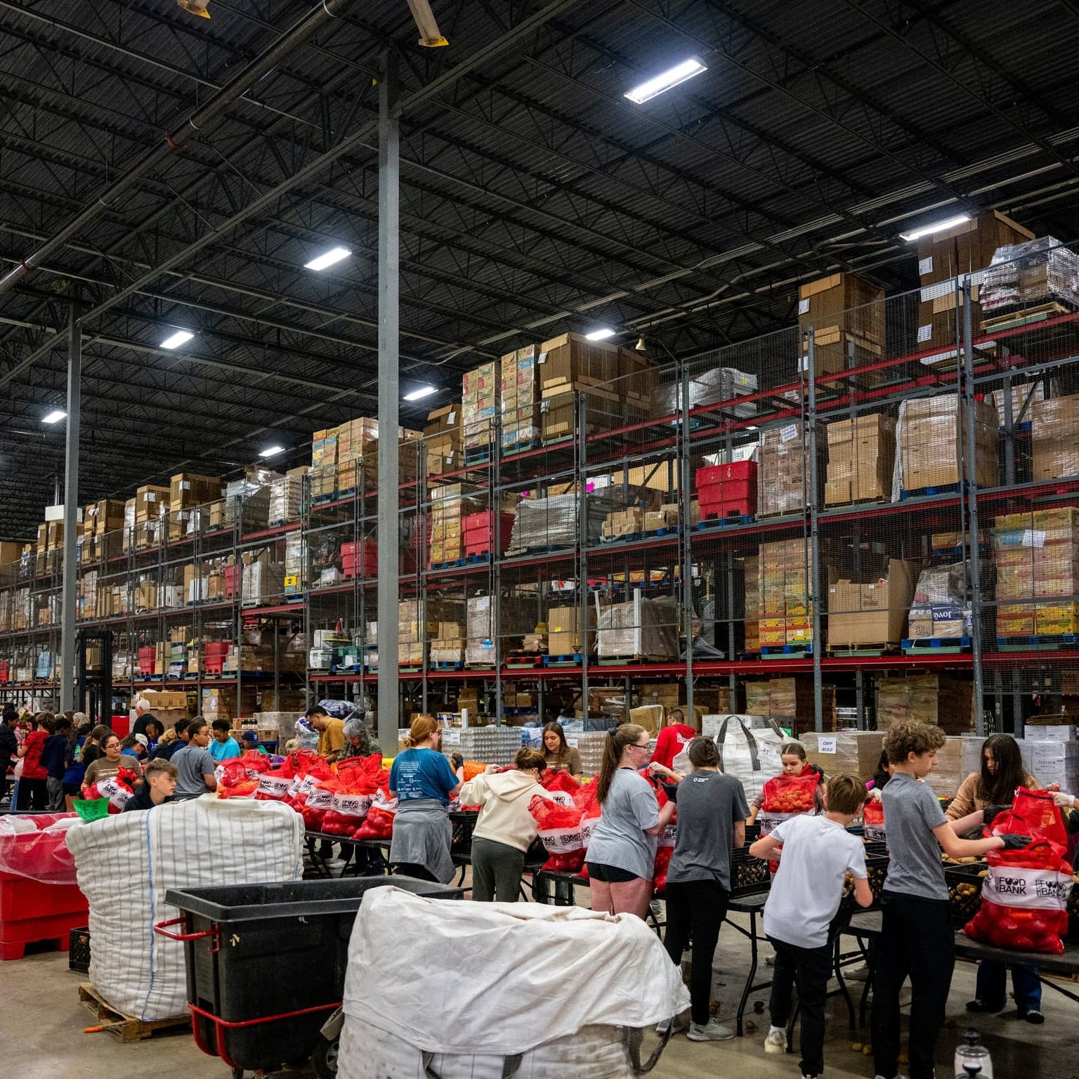 Food banks tackle summer break hunger artwork