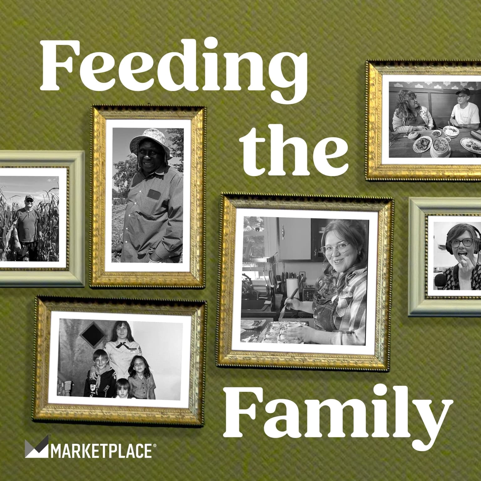 Feeding the Family (bonus episode) artwork