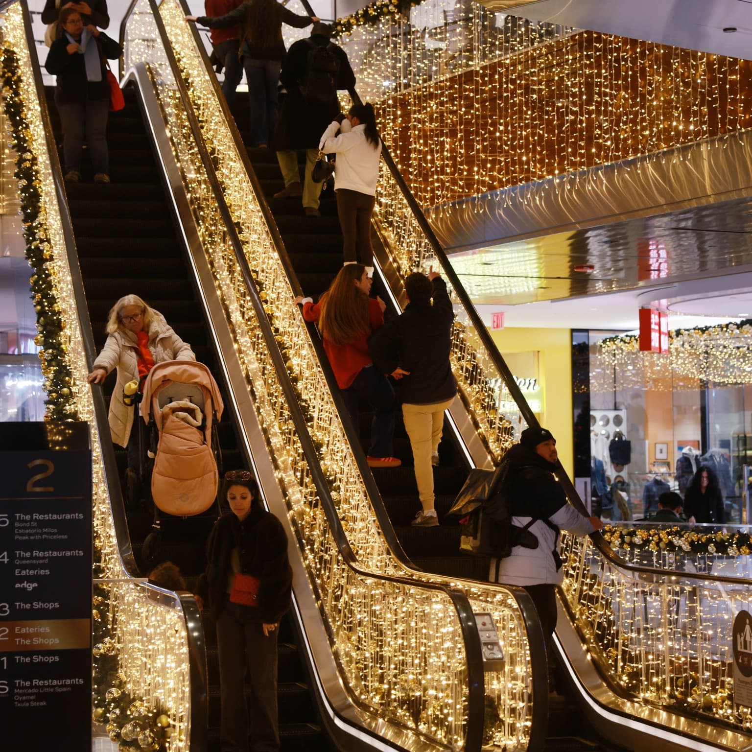 The 2025 consumer sentiment rollercoaster artwork