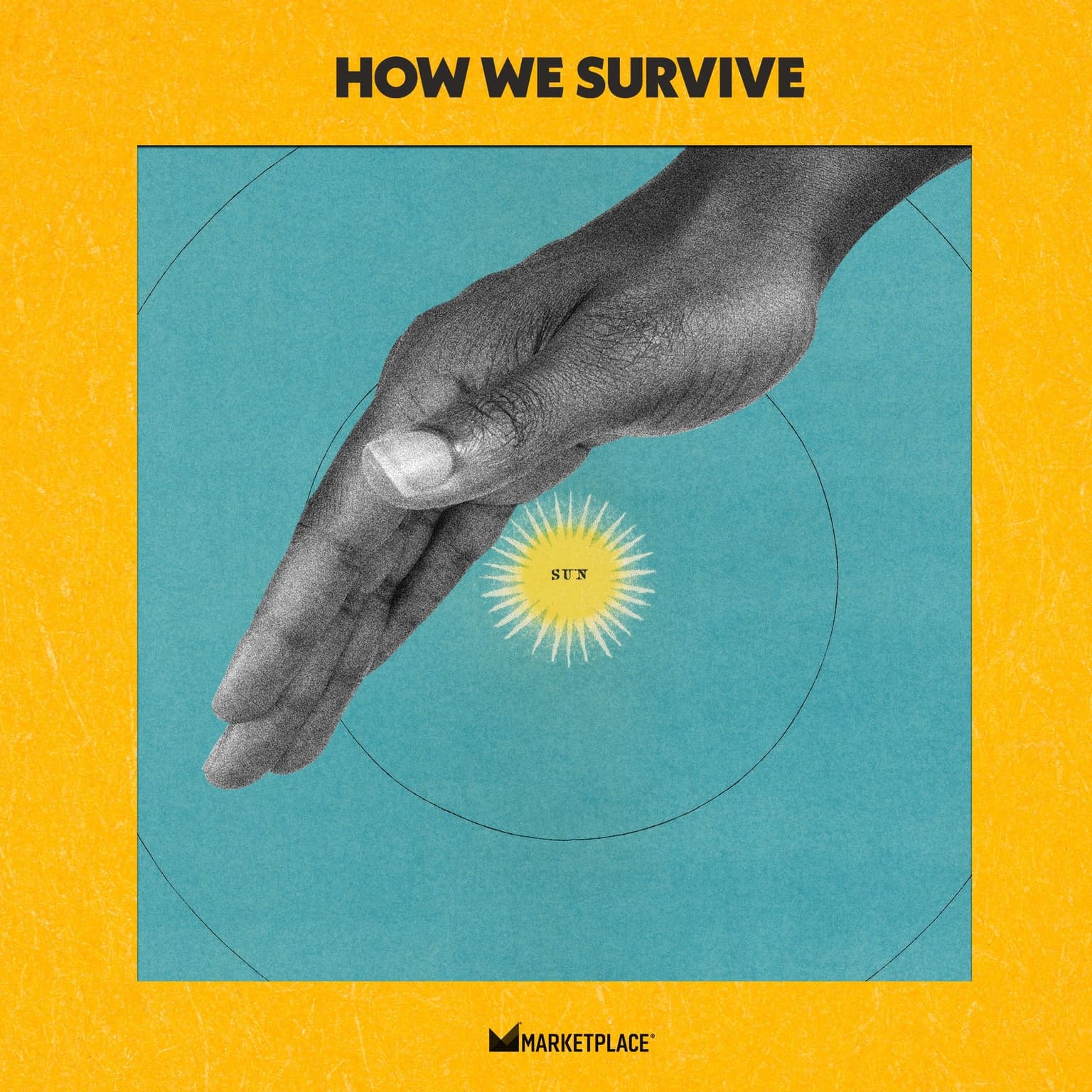 From "How We Survive": How to Dim the Sun artwork