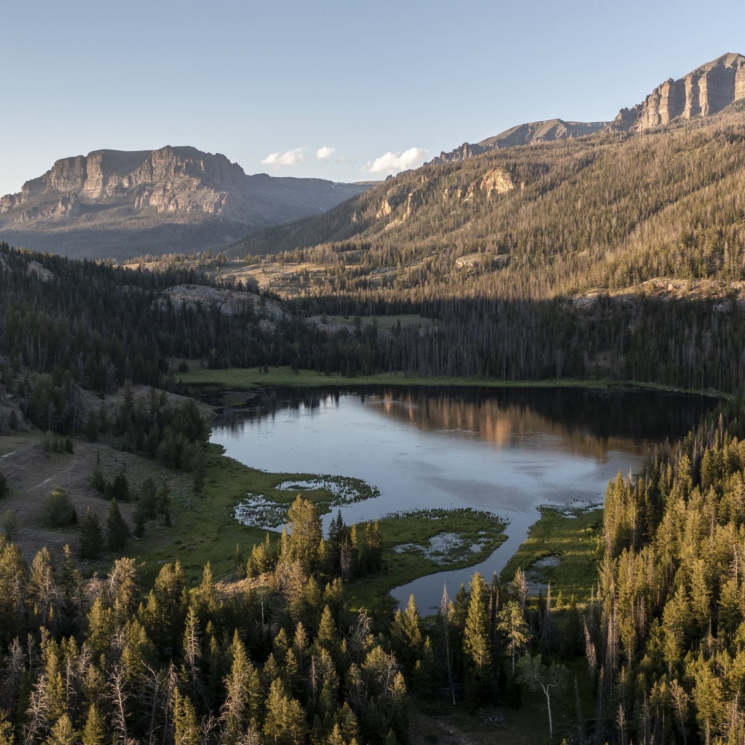 What happens when states manage public land? artwork