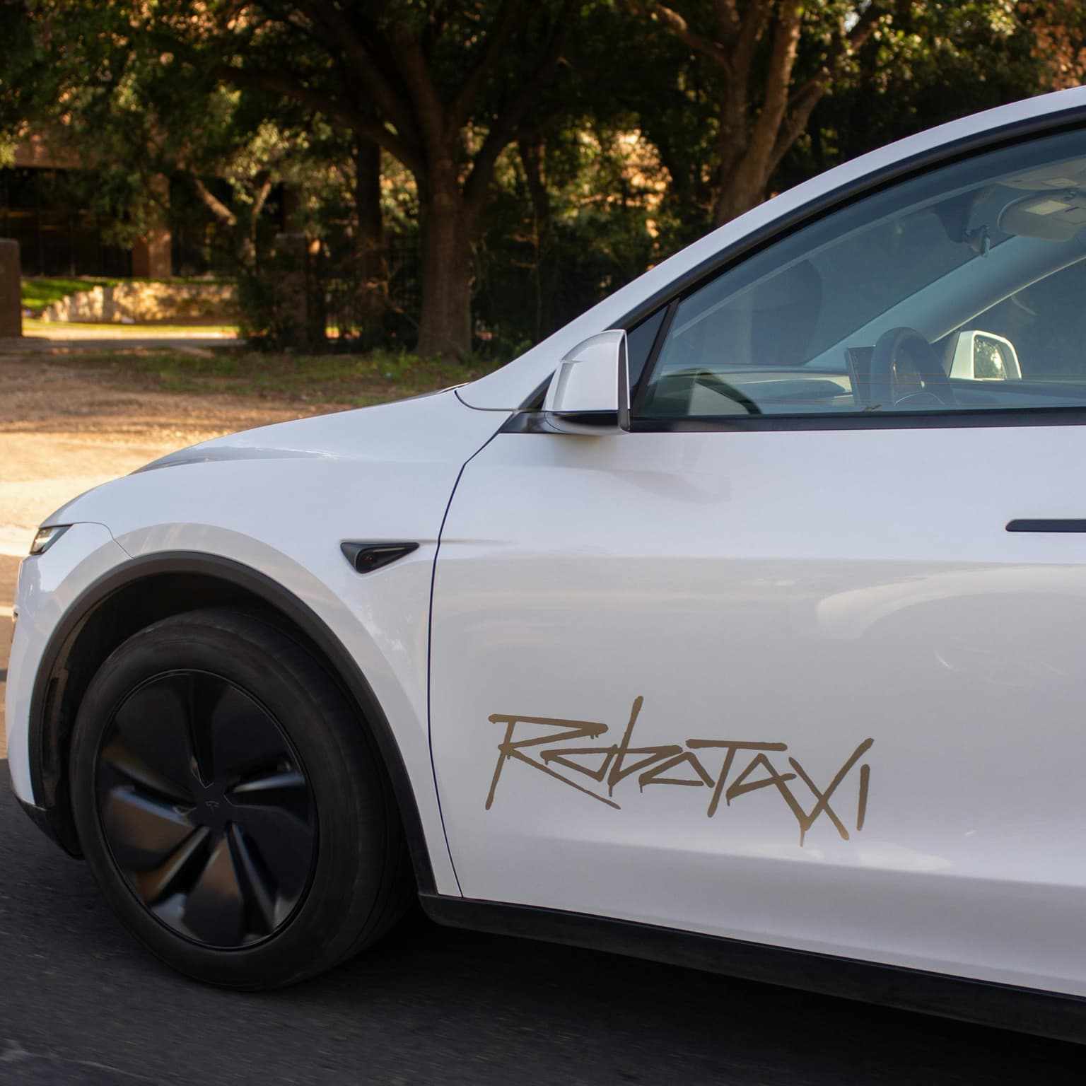 Elon Musk presents: Taxis artwork