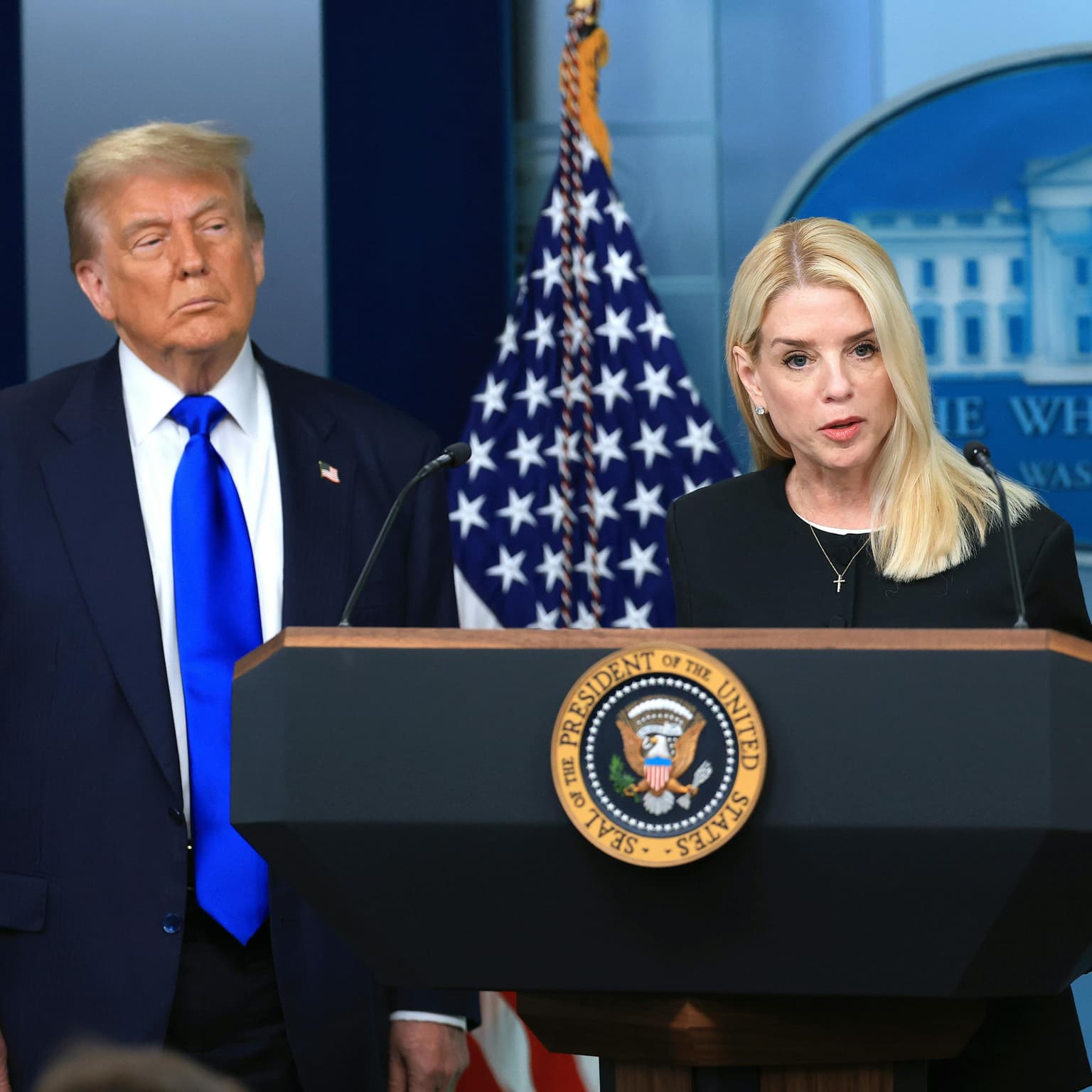 Trump's Epstein problem artwork