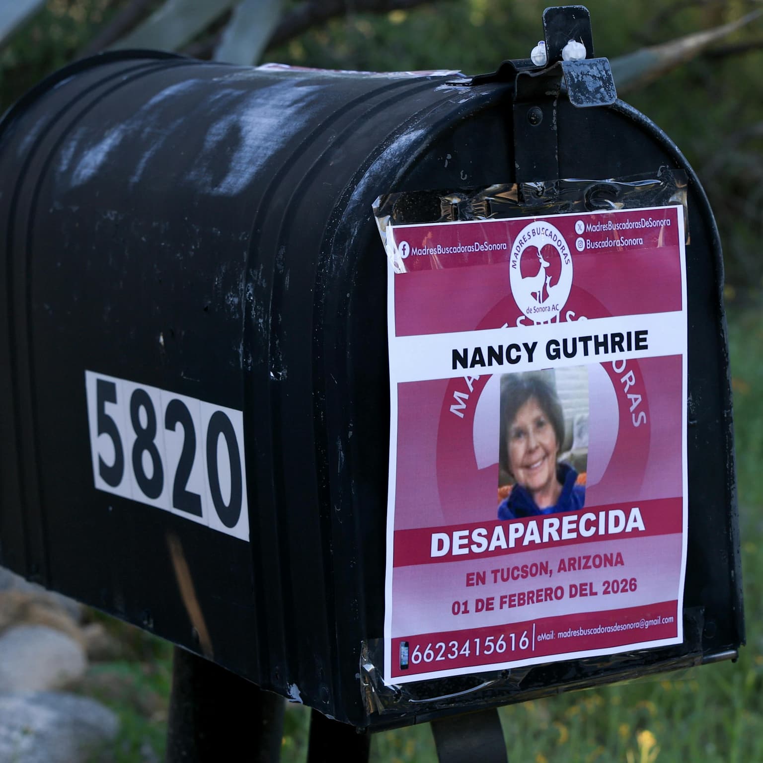 Where is Nancy Guthrie? artwork