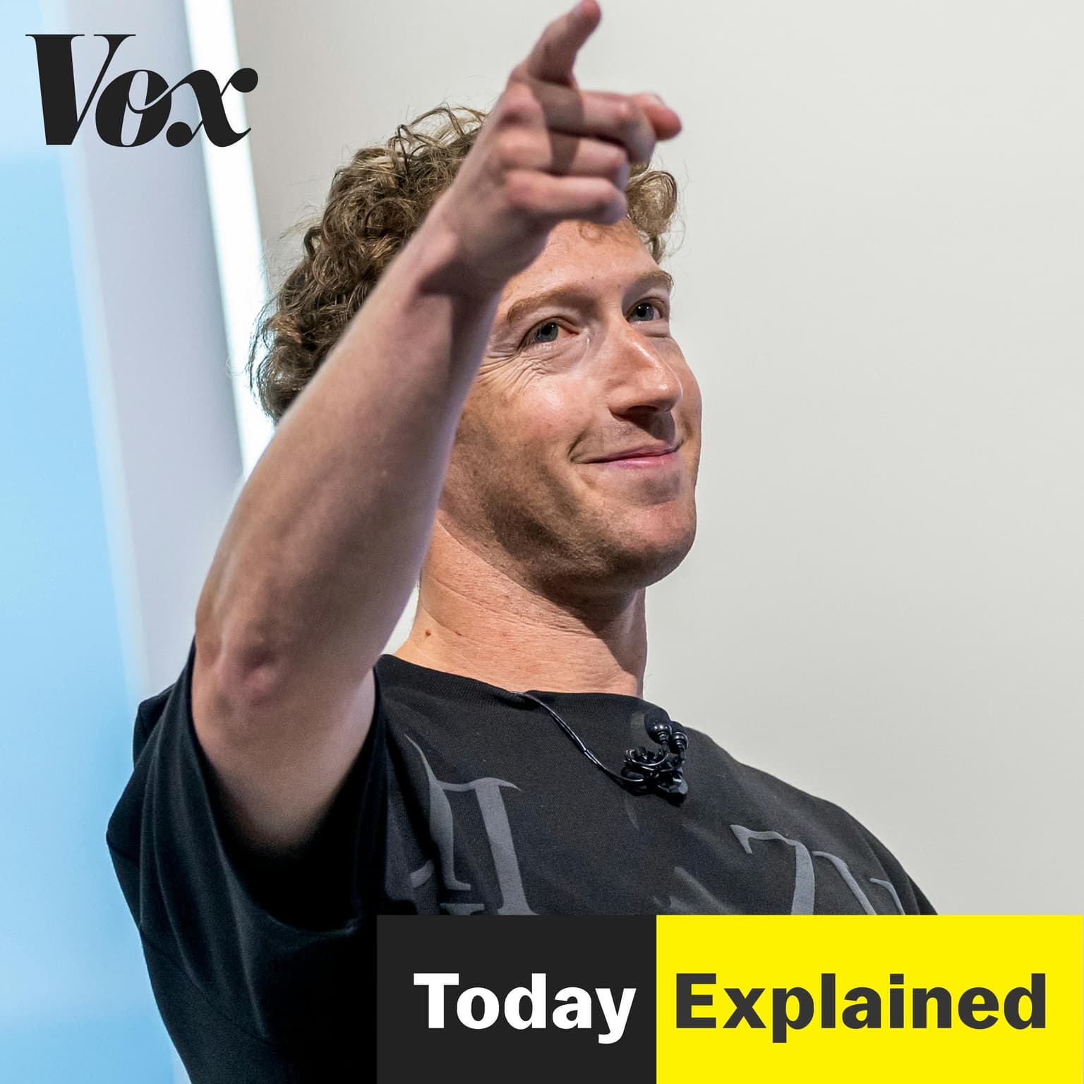 Zuck your feelings artwork
