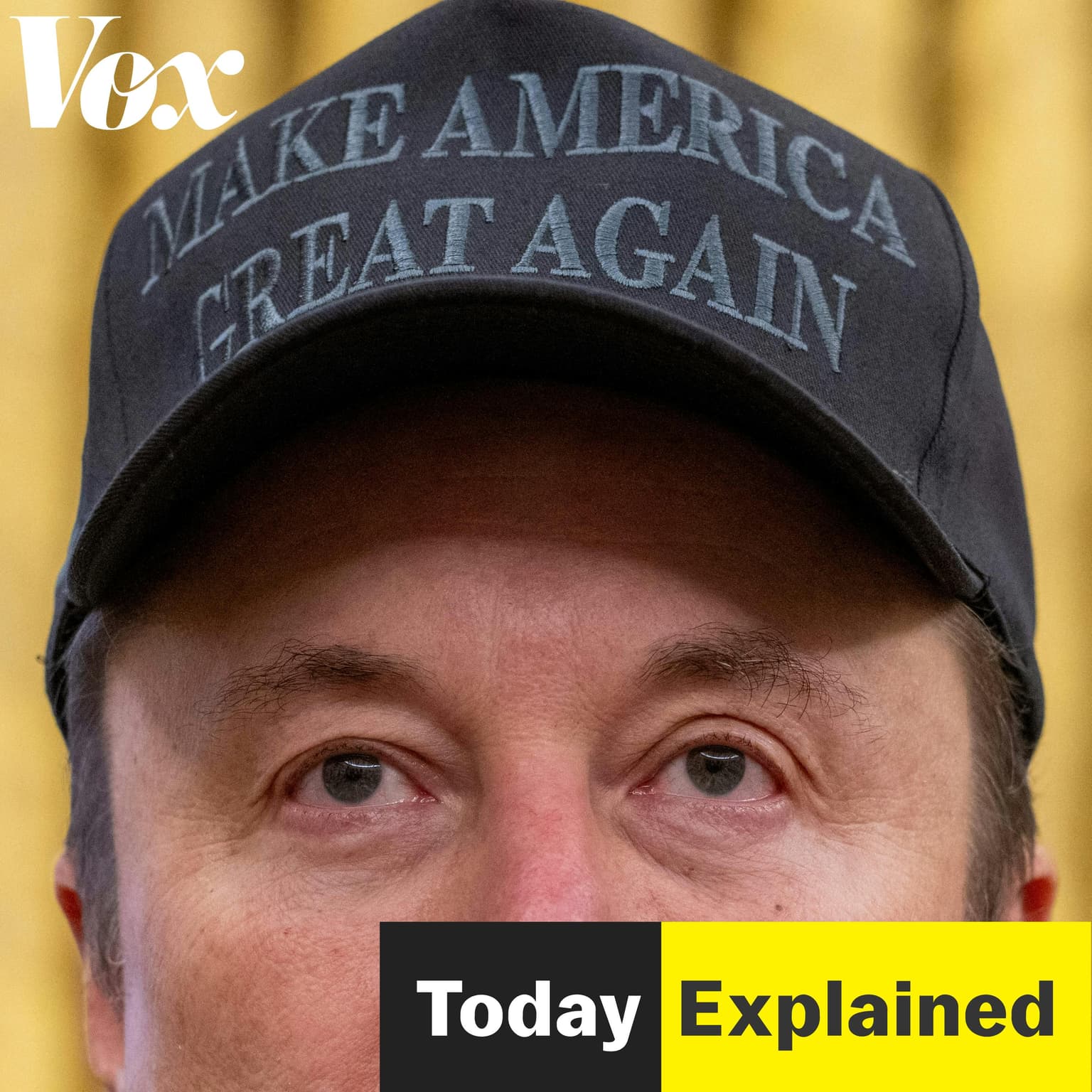 Elon's African roots artwork