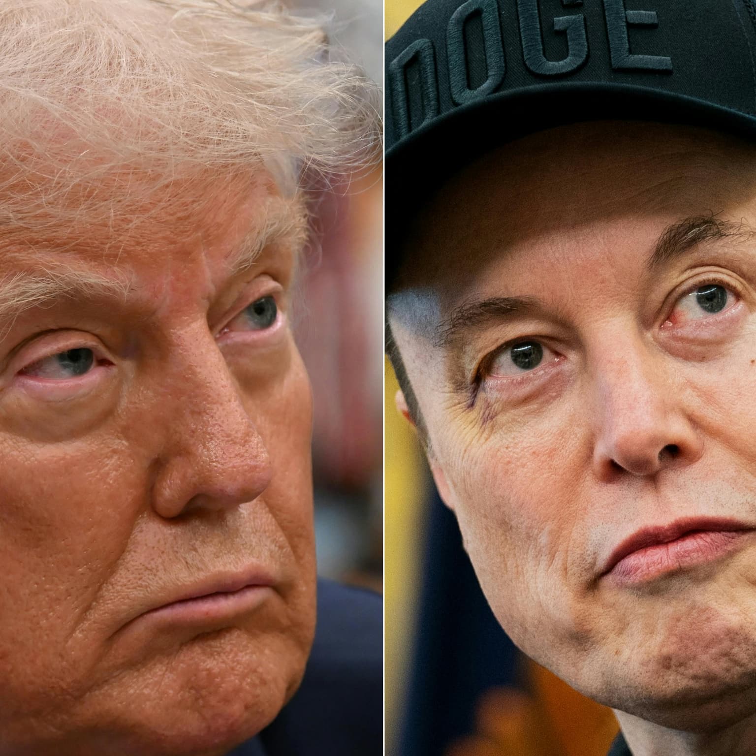 Elon's party in the USA artwork