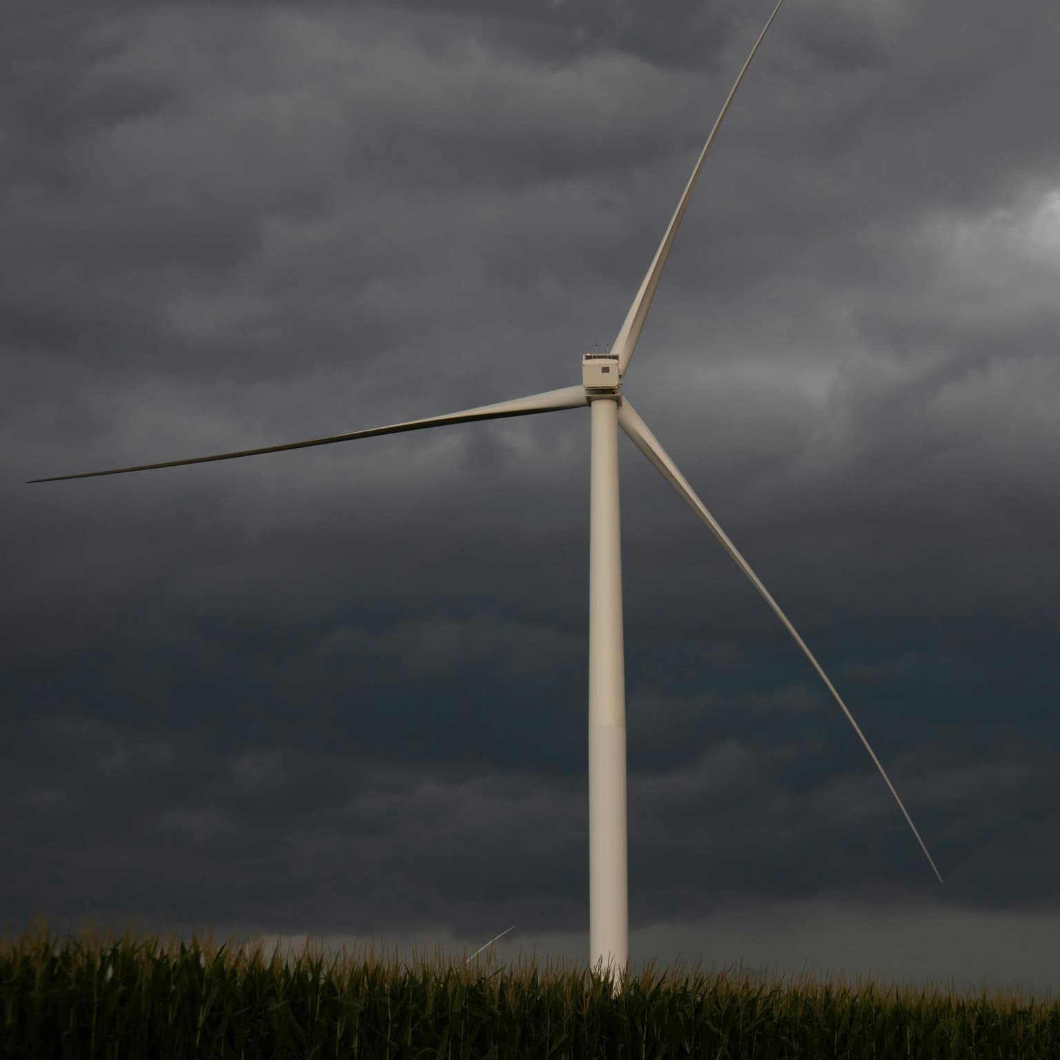 Is climate progress doomed? artwork