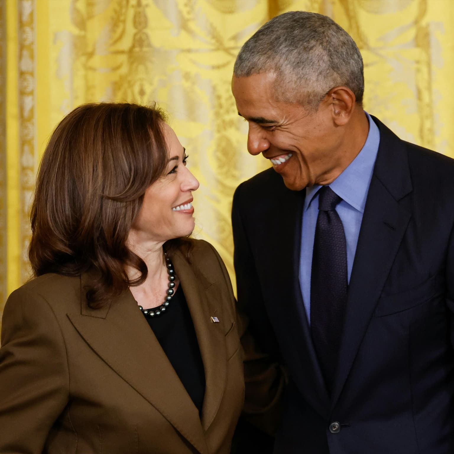 What kind of Democrat should Kamala Harris be? artwork