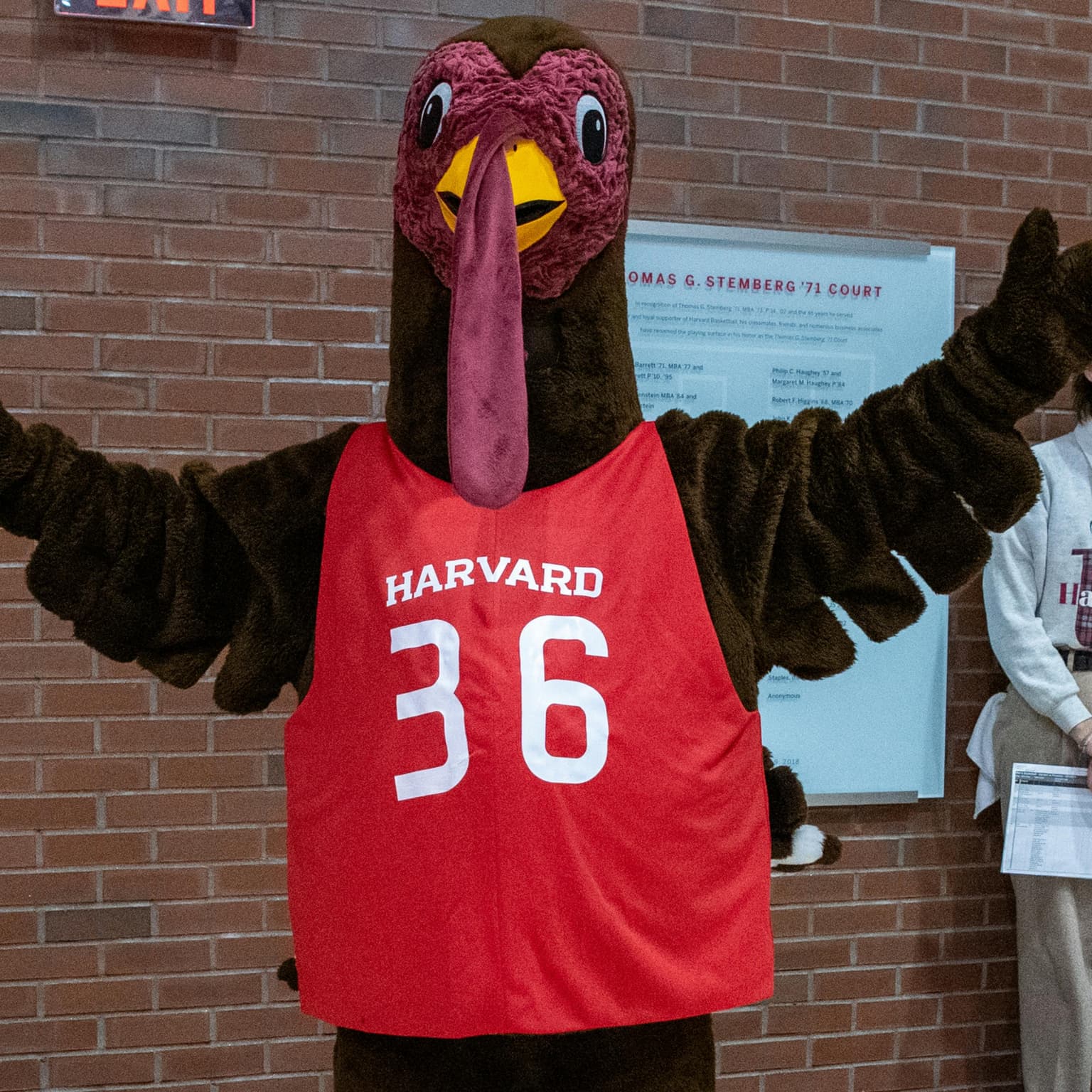 Why Harvard is fighting back artwork