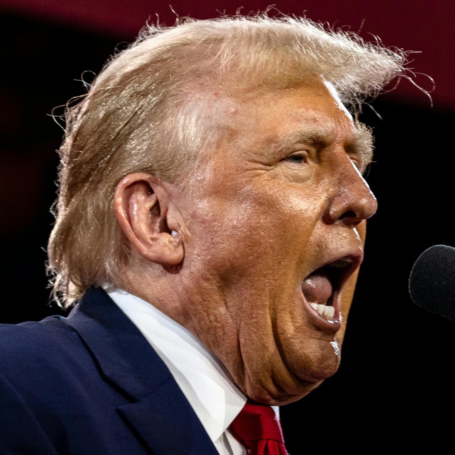 Trump’s dork philosopher artwork