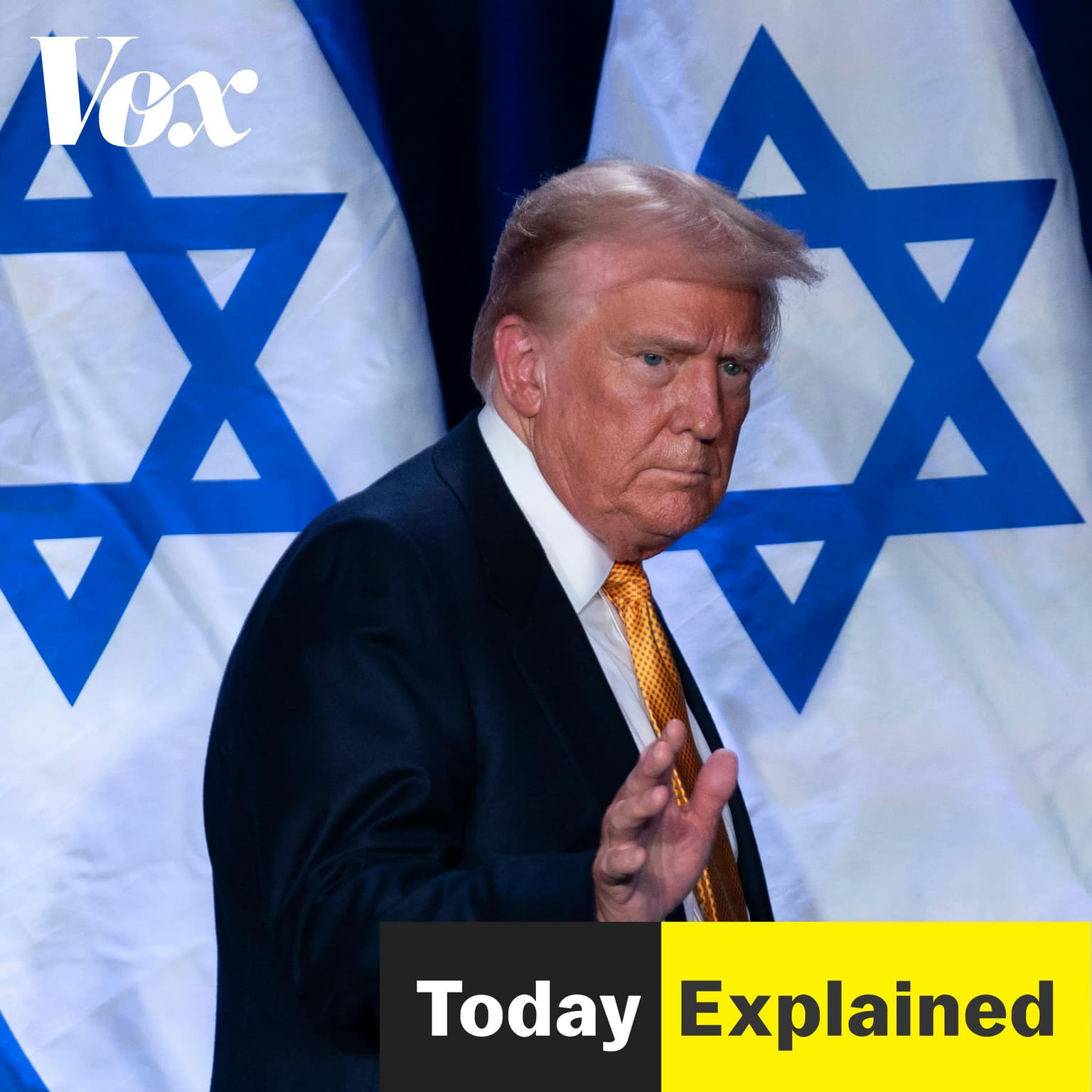 Can Trump get a Gaza ceasefire? artwork