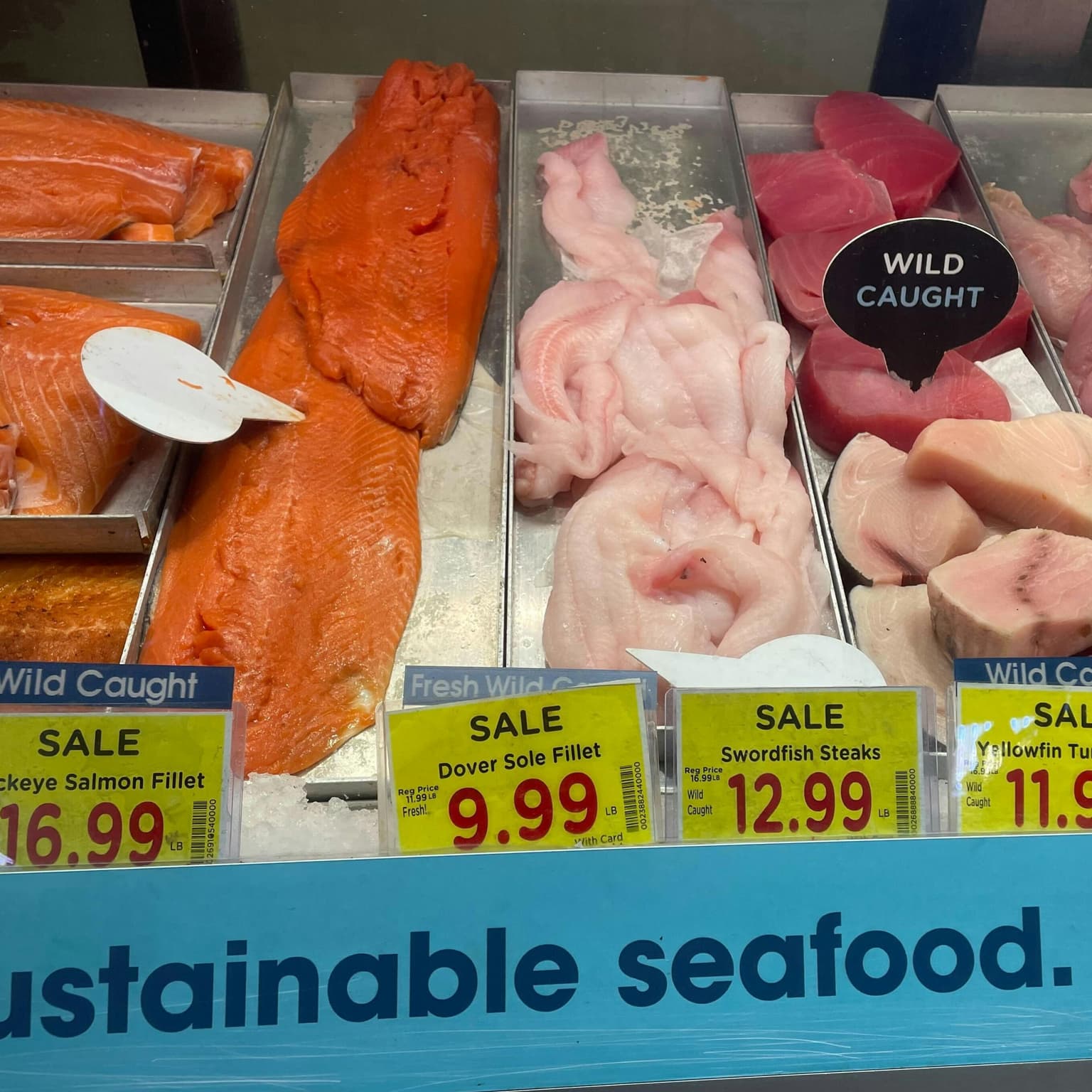 Fishy business artwork