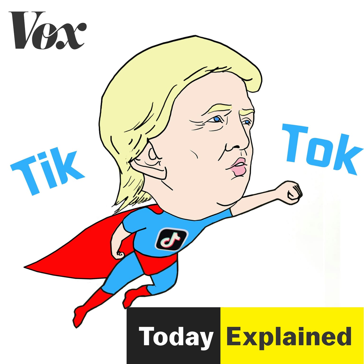 TikTok on the dock(et) artwork