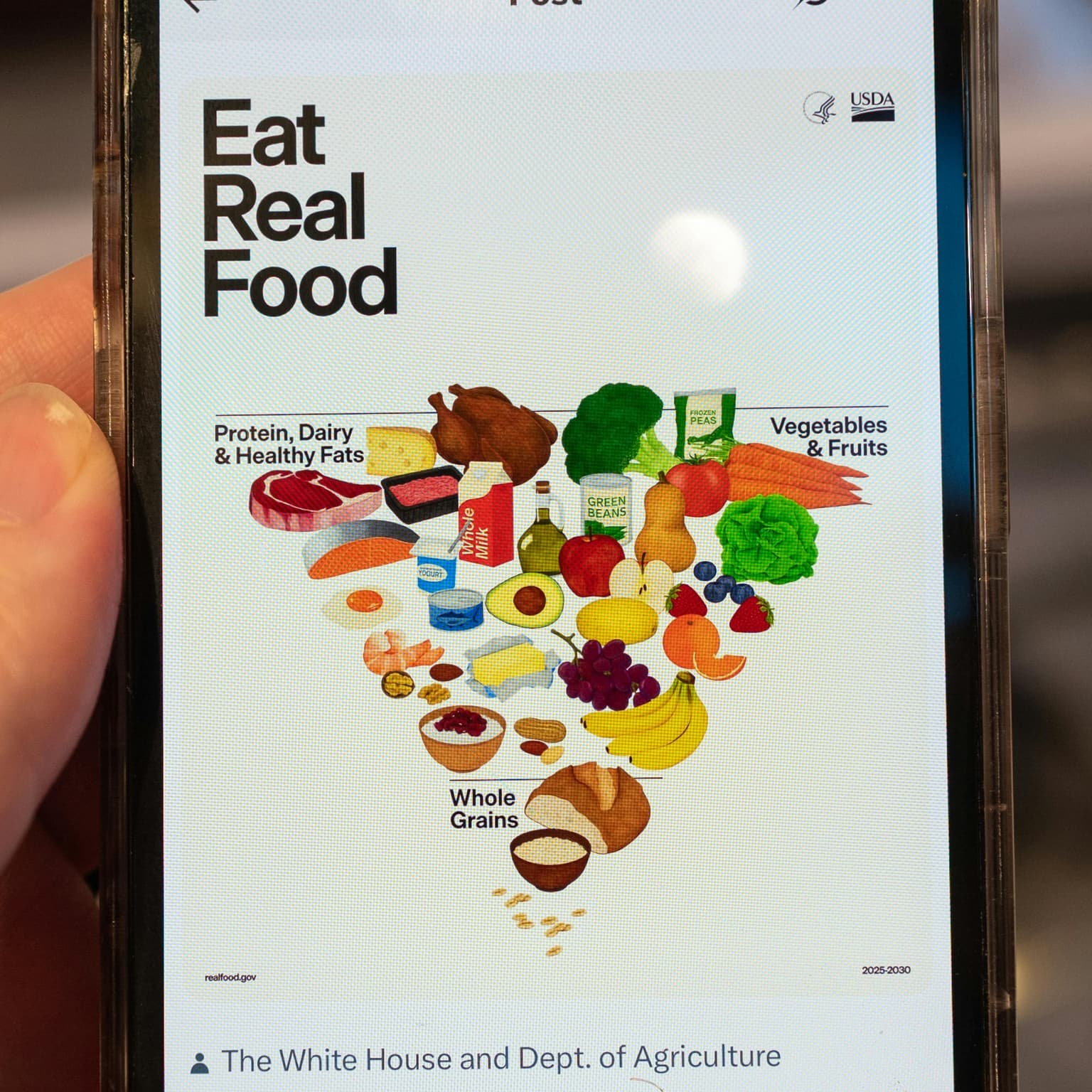 RFK Jr.'s new food pyramid artwork