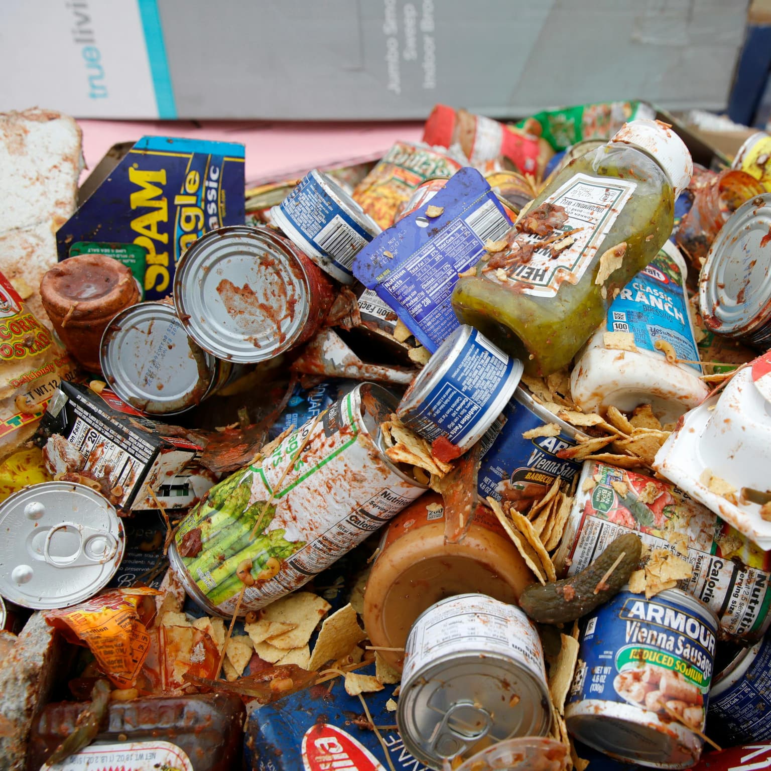 Food stamp rage bait artwork