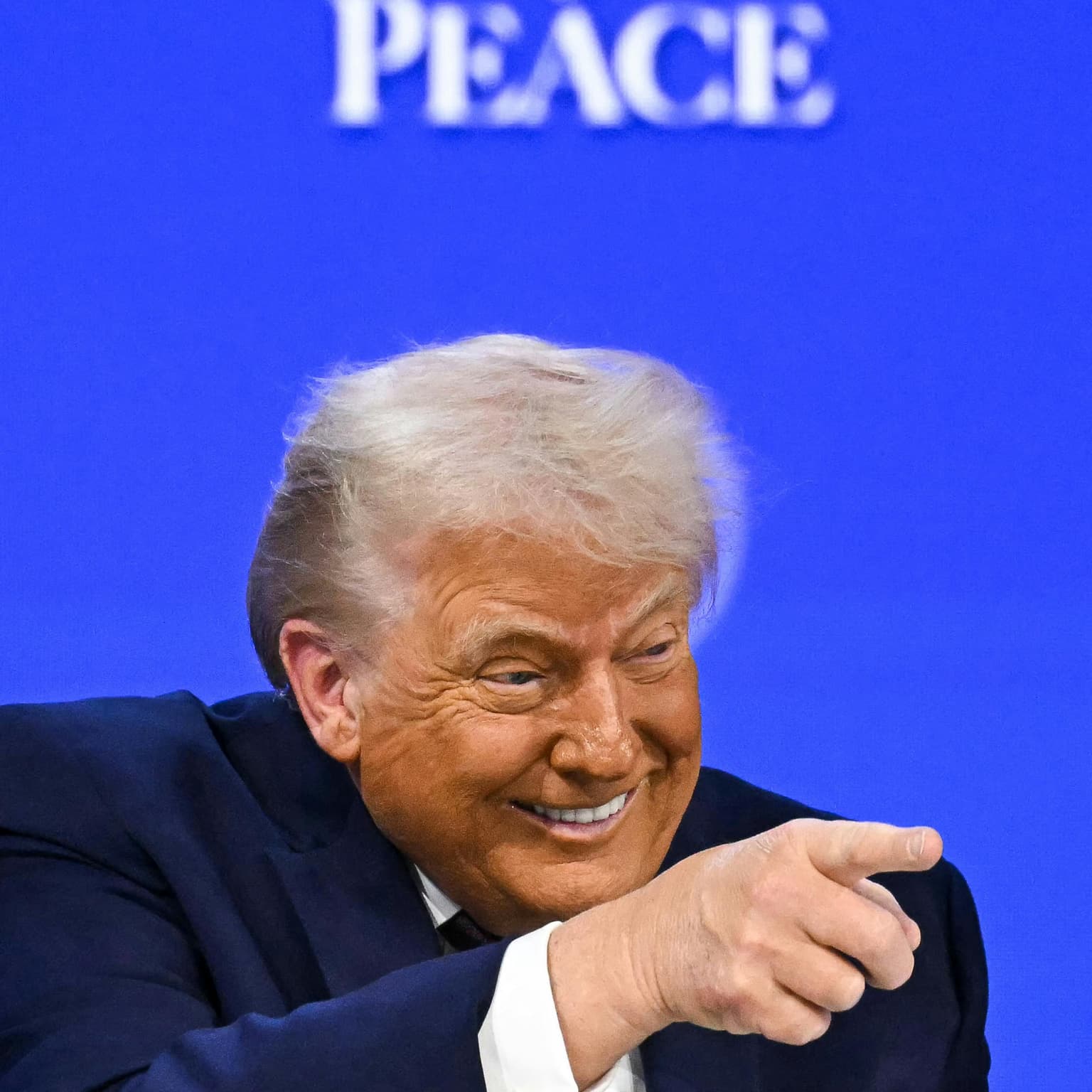 Trump's model UN artwork