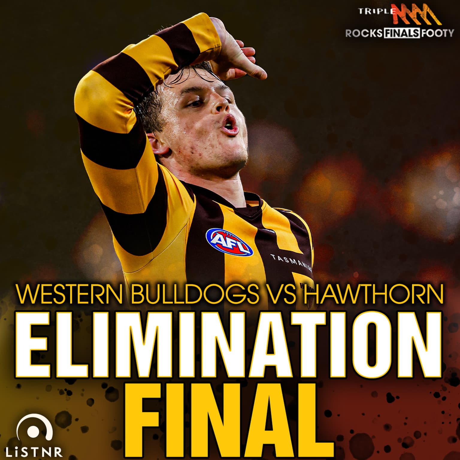 Mini Match - Western Bulldogs v Hawthorn - Elimination Final artwork