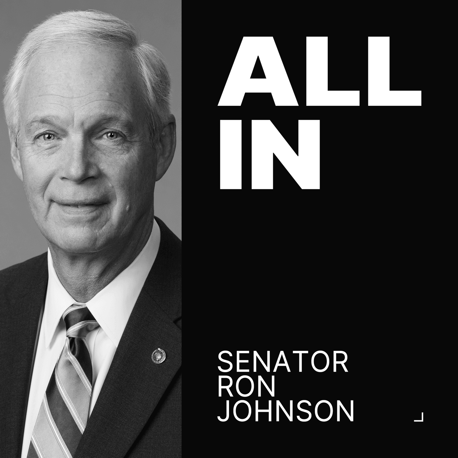 Senator Ron Johnson on the Senate showdown over Trump's Big Beautiful Bill | All-In Interview artwork