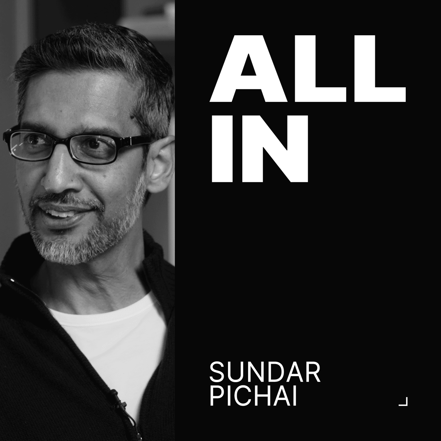 Sundar Pichai, CEO of Alphabet | The All-In Interview artwork