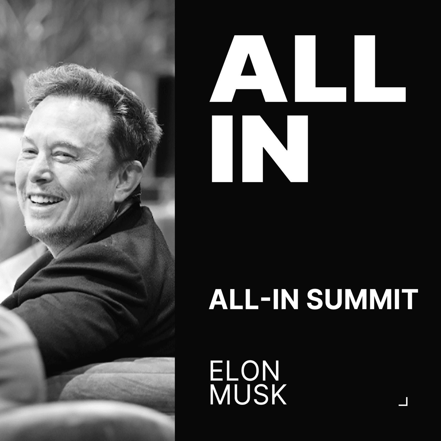 Elon Musk | All-In Summit 2024 artwork