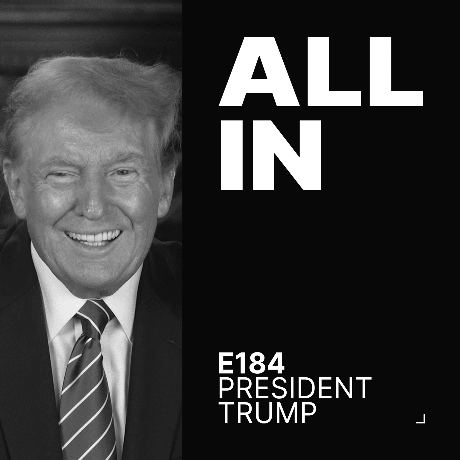 In conversation with President Trump artwork