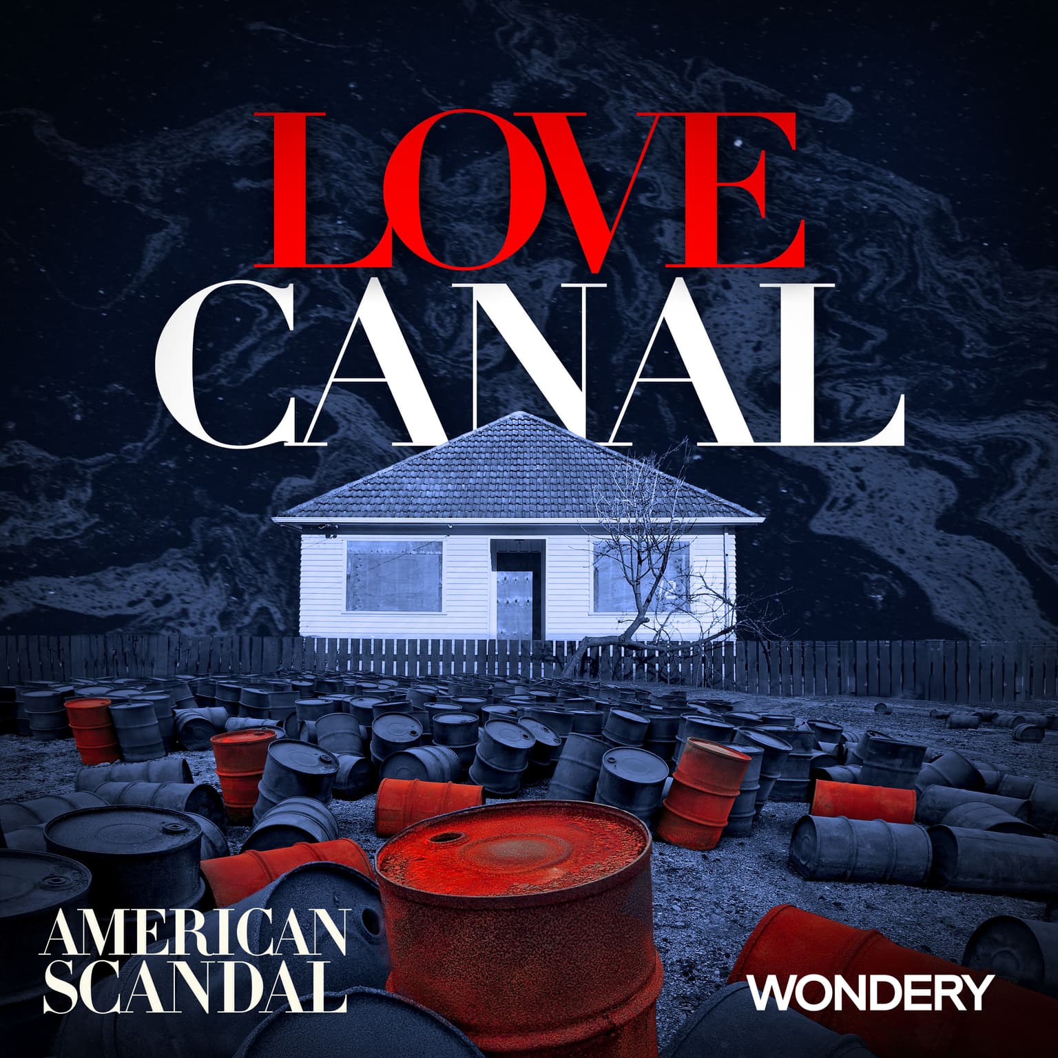 Love Canal | The Education of Lois Gibbs | 1 artwork