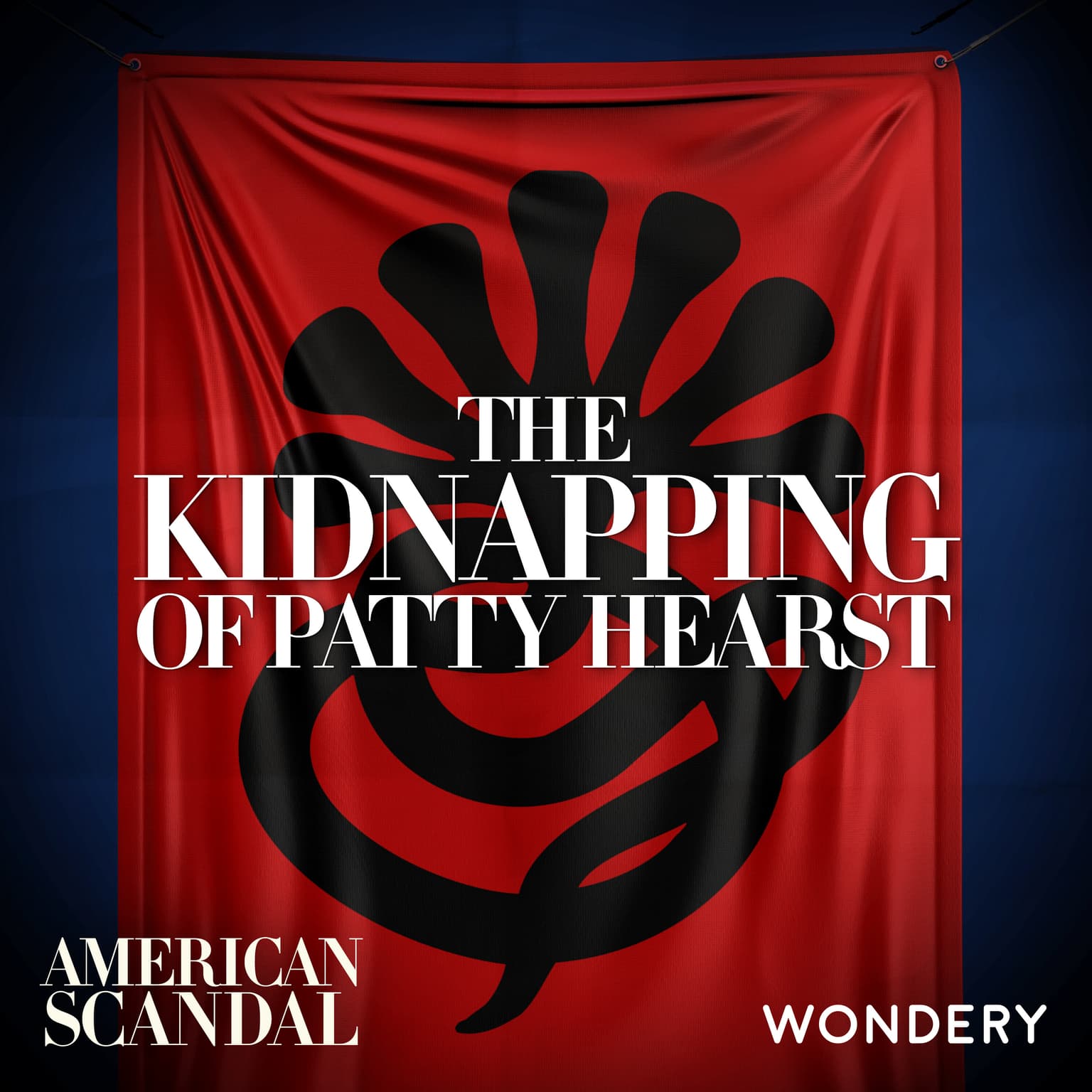 The Kidnapping of Patty Hearst | The Plot | 1 artwork