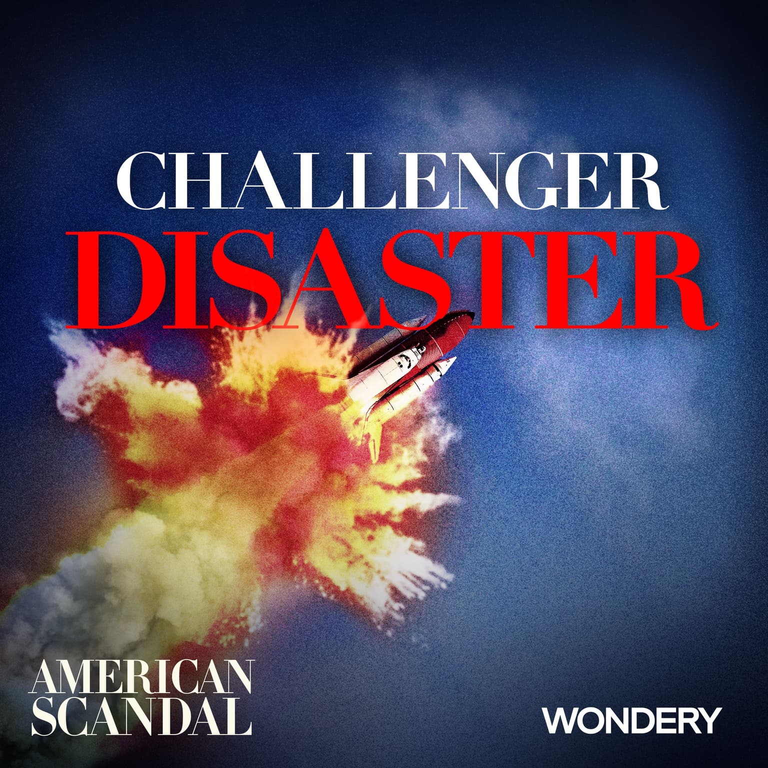 Challenger Disaster | Bigger, Faster, Cheaper | 1 artwork