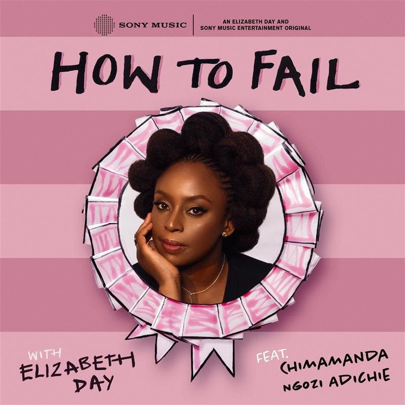 Failure Throwback: Chimamanda Ngozi Adichie artwork