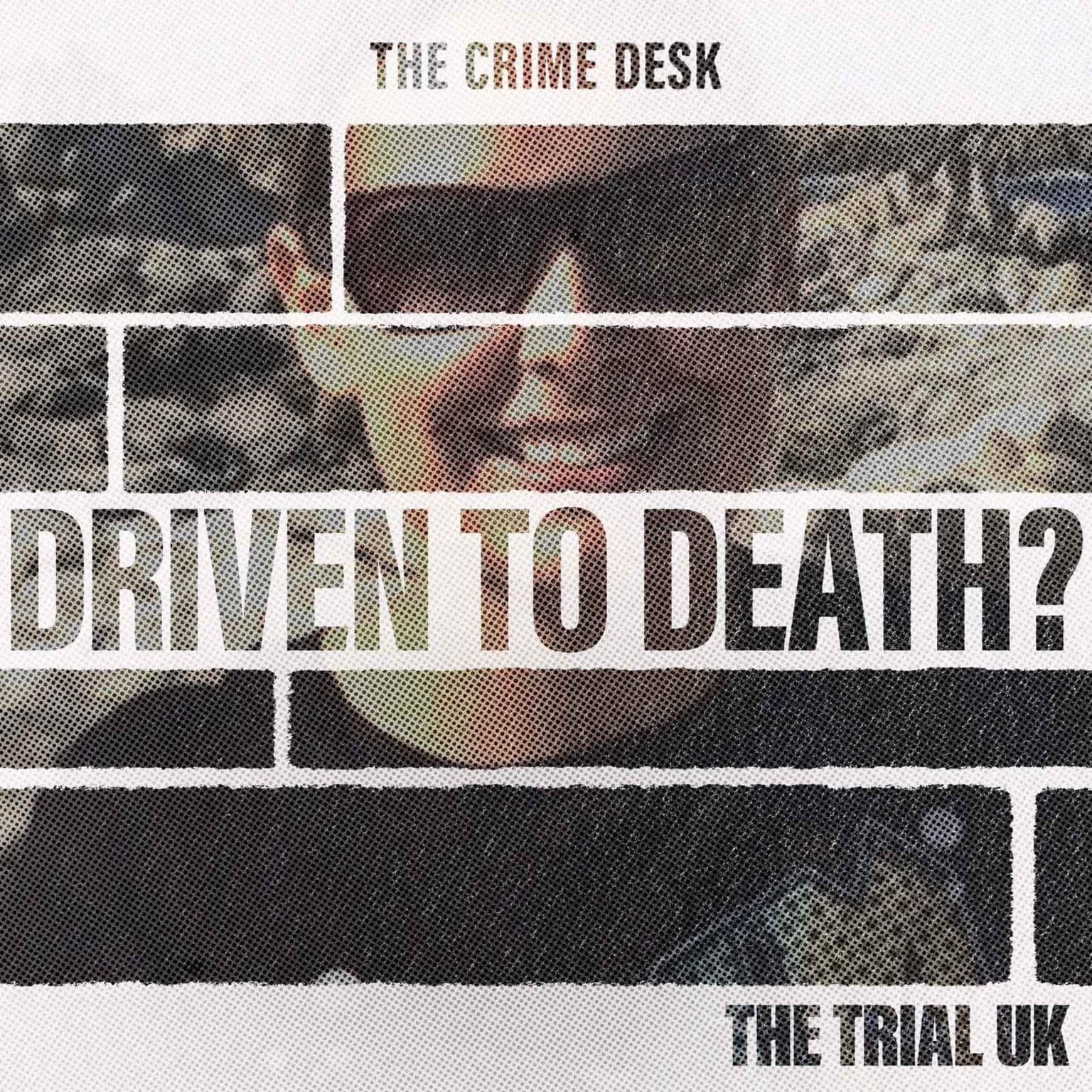 Driven to Death? - Tarryn's Final Hours artwork
