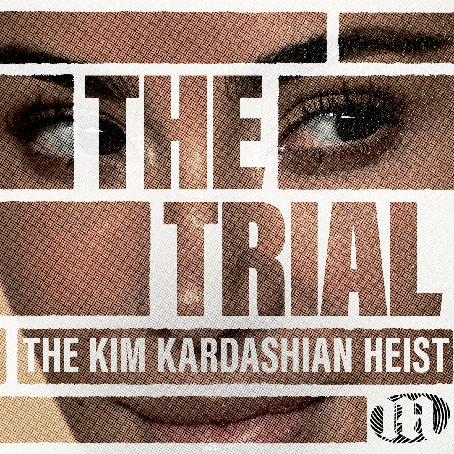 Kim Kardashian - The "Facts" artwork