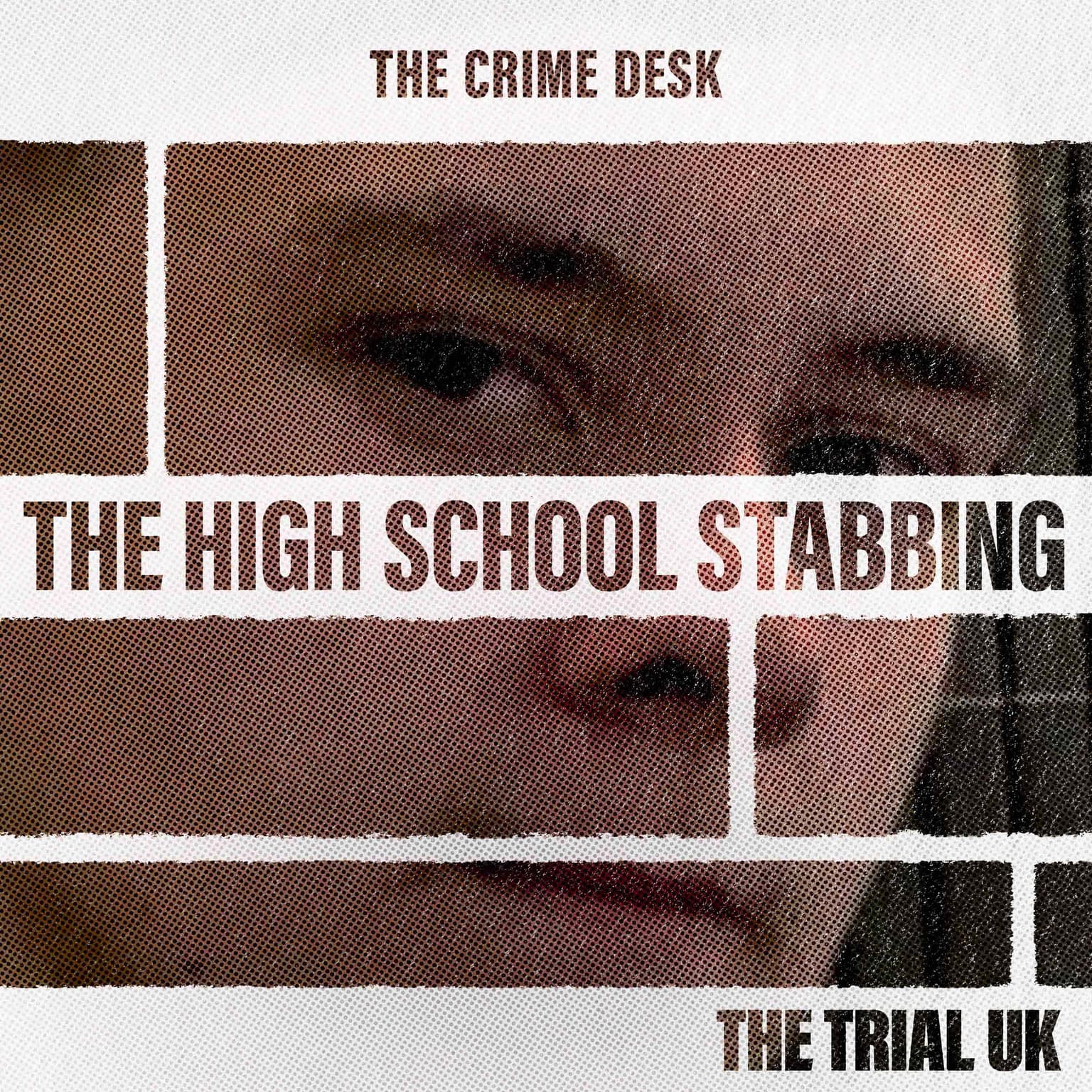 High School Stabbing - Harvey’s Killer Named and Jailed artwork