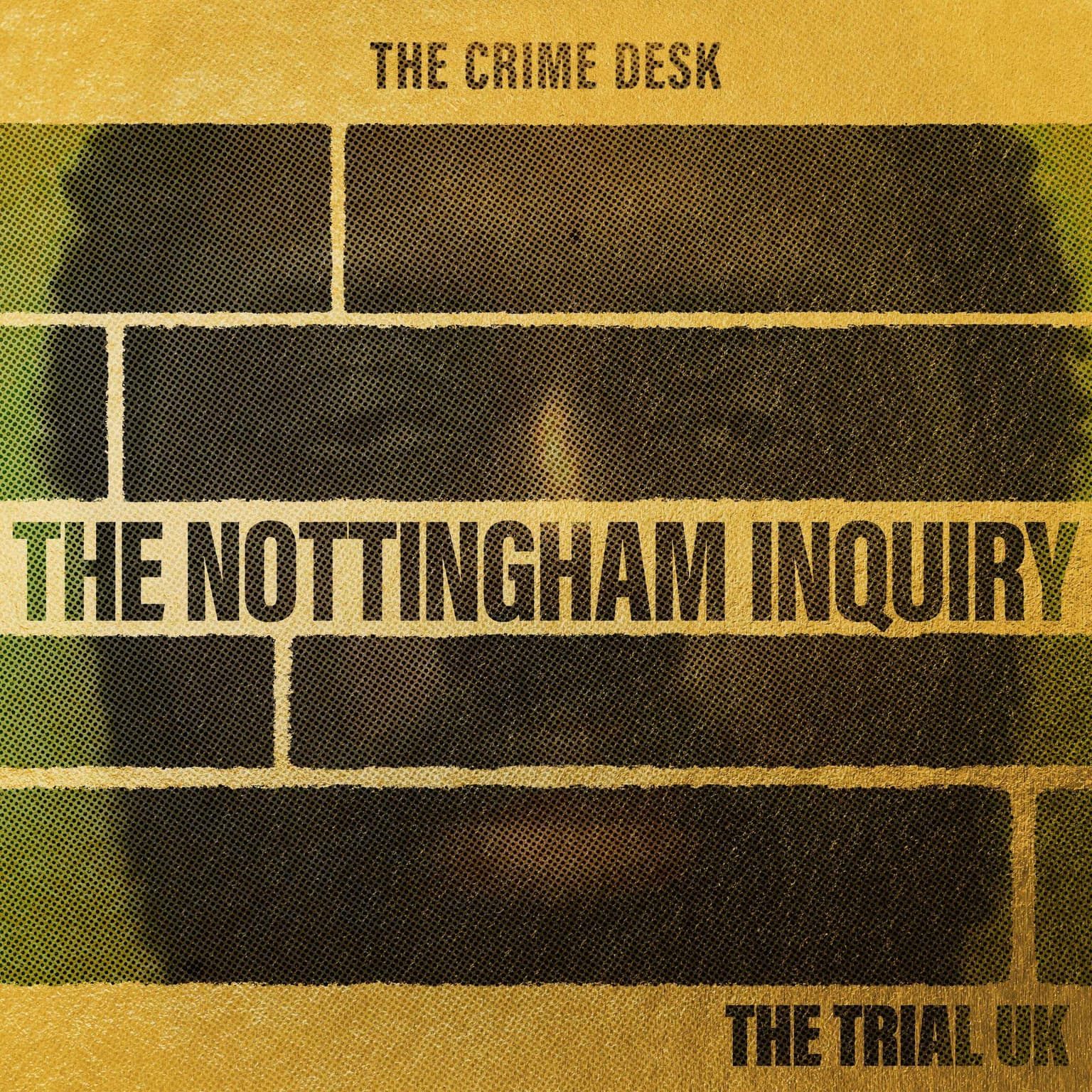 EXCLUSIVE PREVIEW: The Nottingham Inquiry - “I am not going to stop till we get justice” artwork