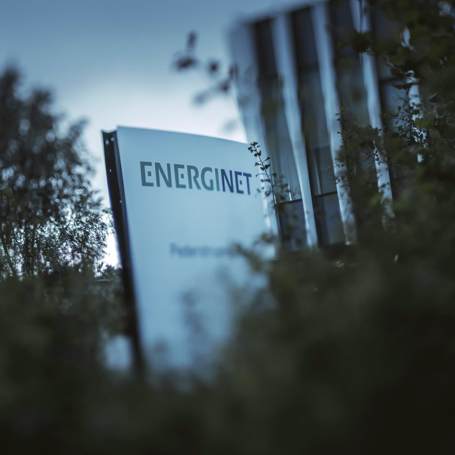 Lyn-analyse: Statsejede Energinet er marineret i skandaler - "har mistet kontakten til virkeligheden" artwork