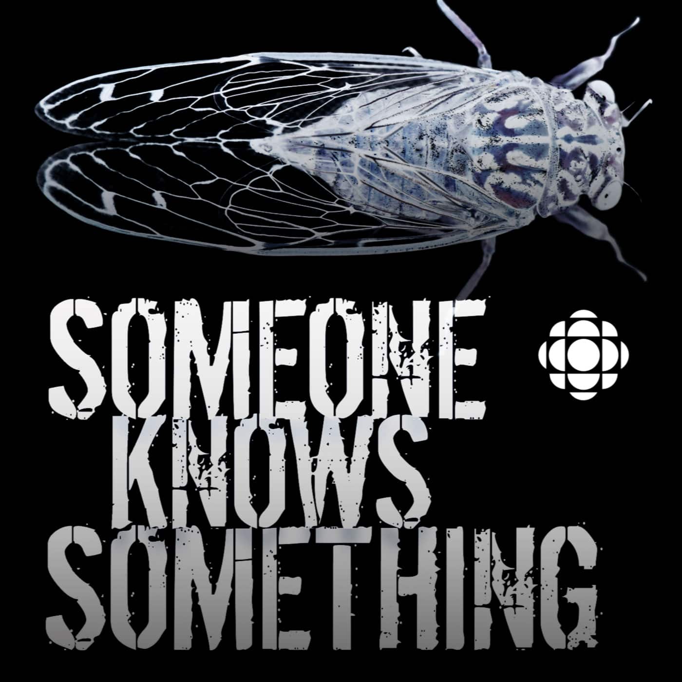 S6 Episode 5: The Test artwork