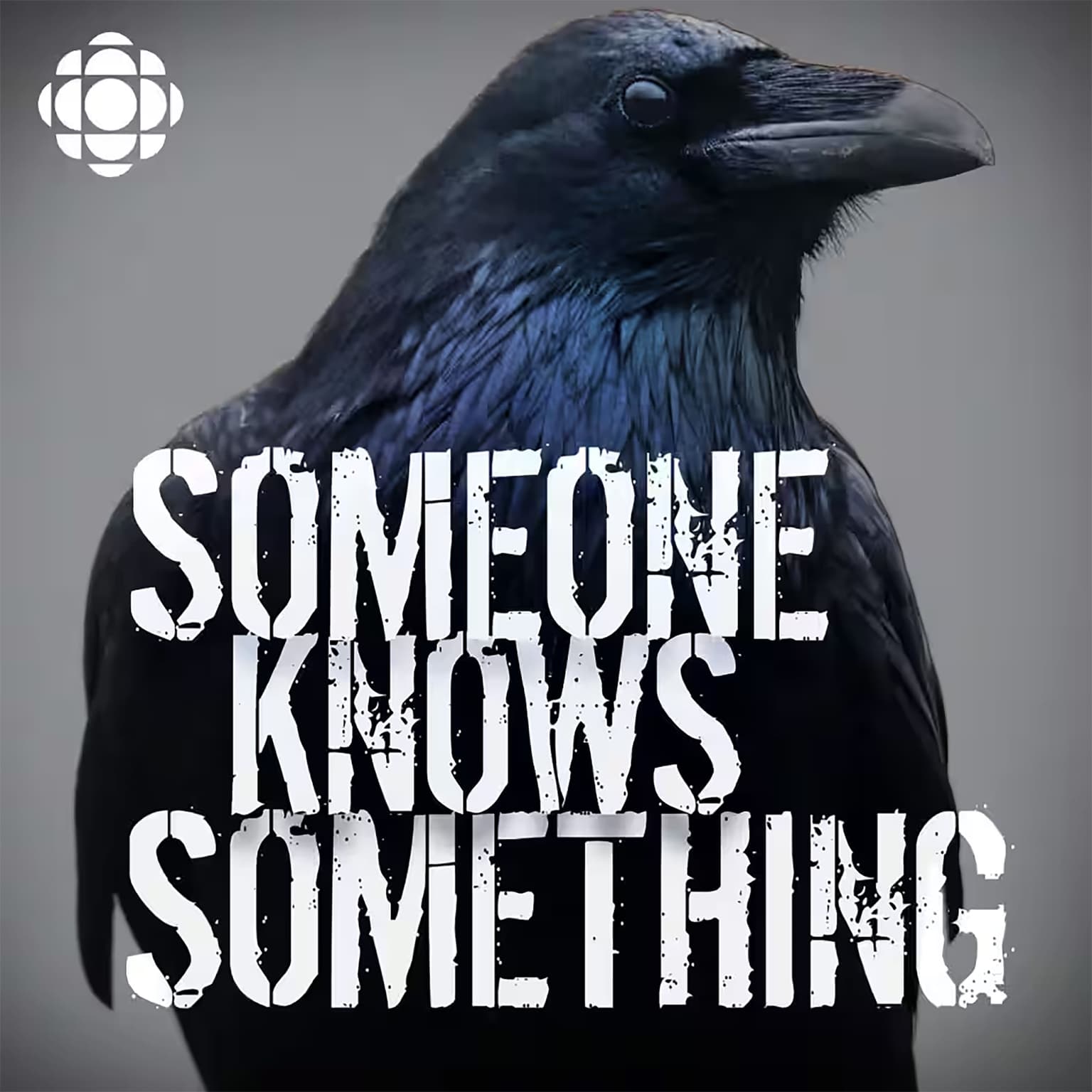 S5 Update: "I was here all night" artwork