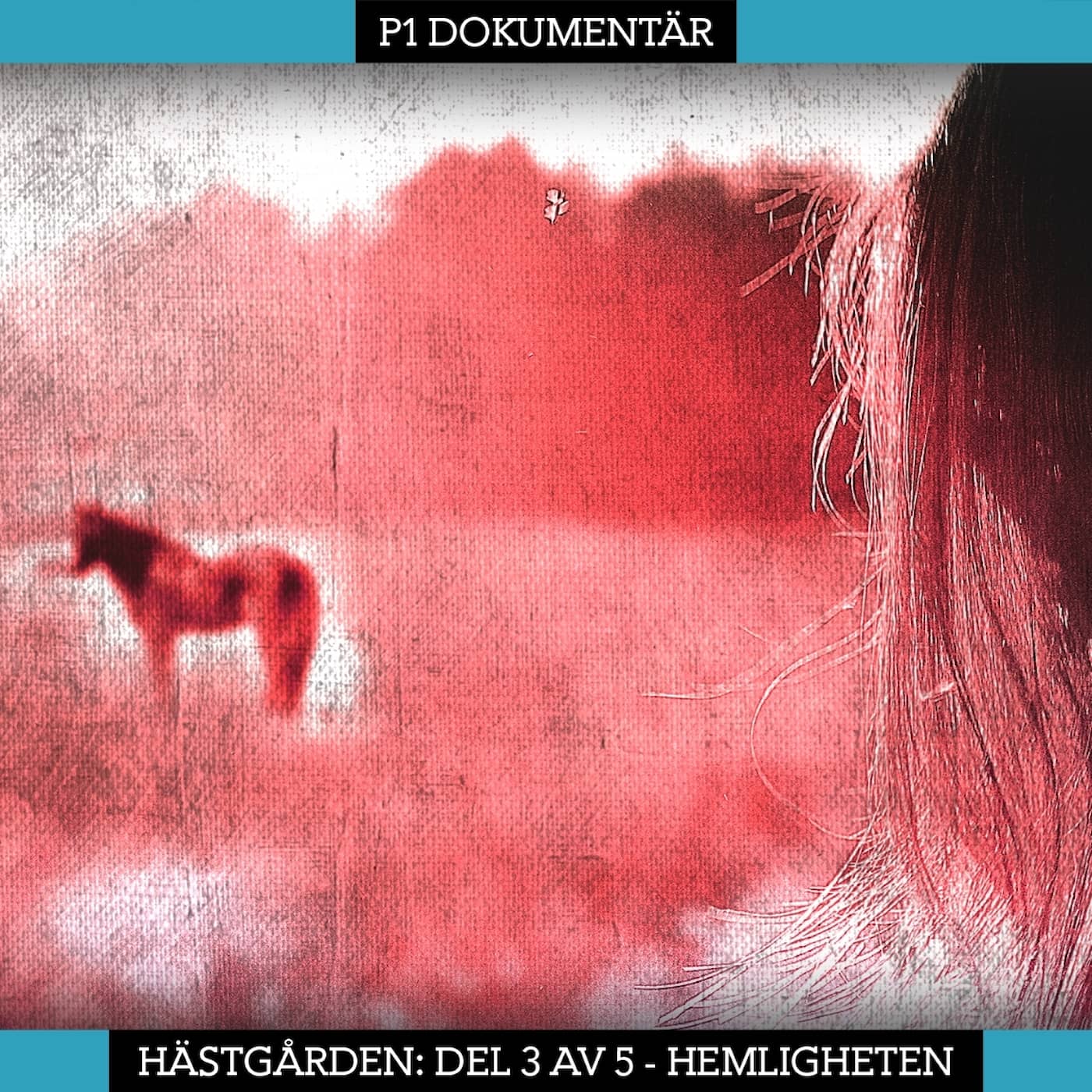 Del 3/5. Hästgården – Hemligheten artwork