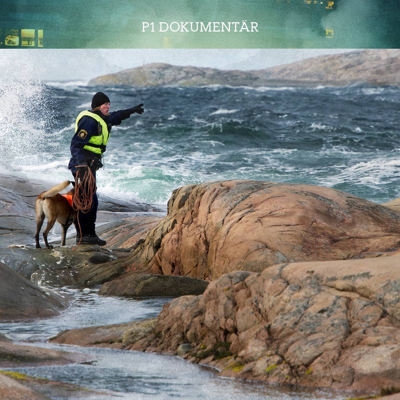 Saknad till havs artwork
