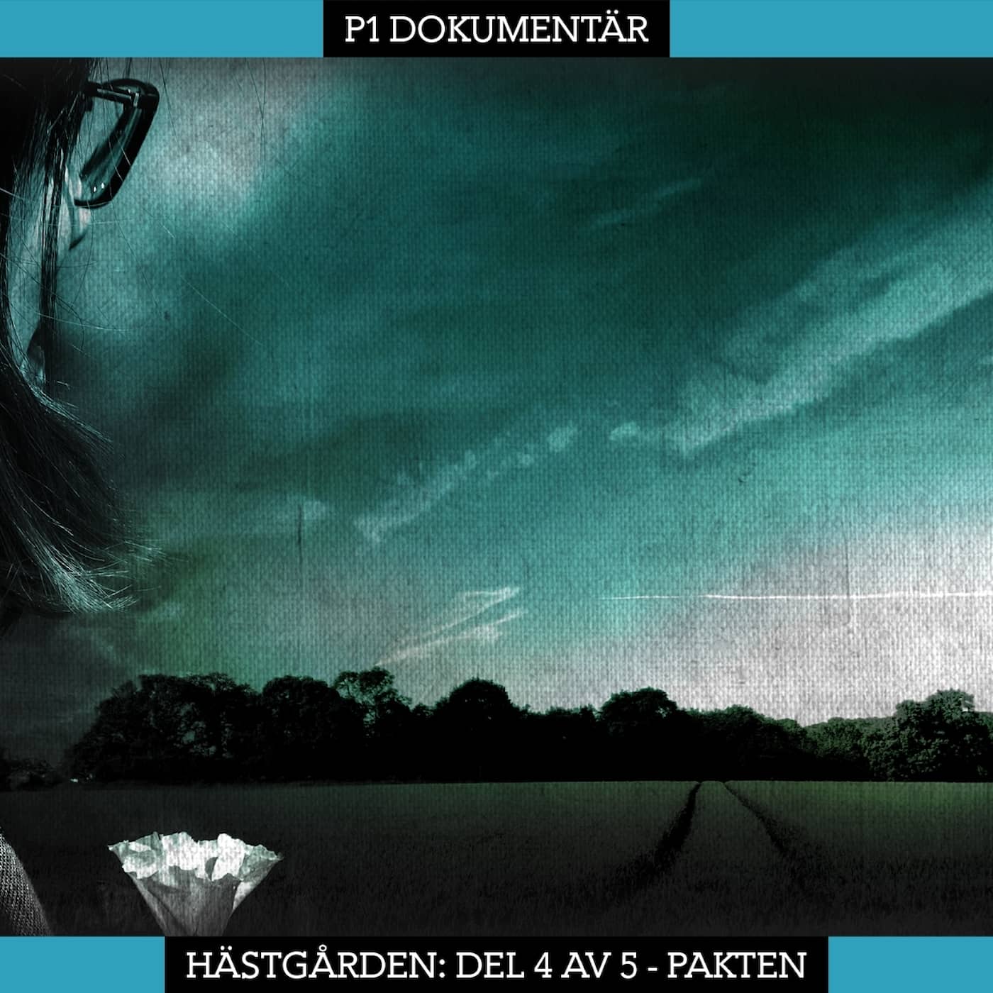 Del 4/5. Hästgården – Pakten artwork