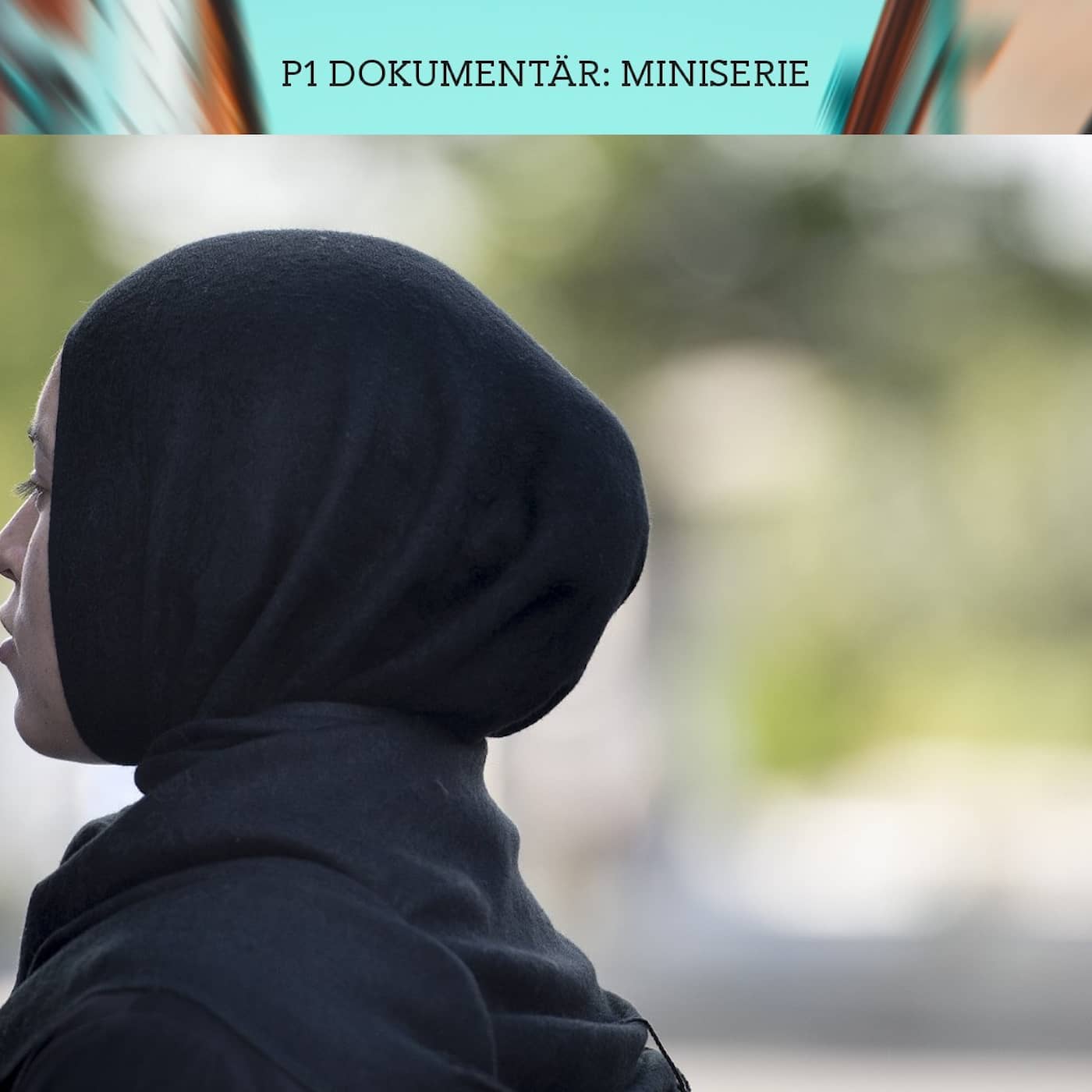 Det delade Borlänge – Vem tror du att du är? | Del 3/3 (R) artwork