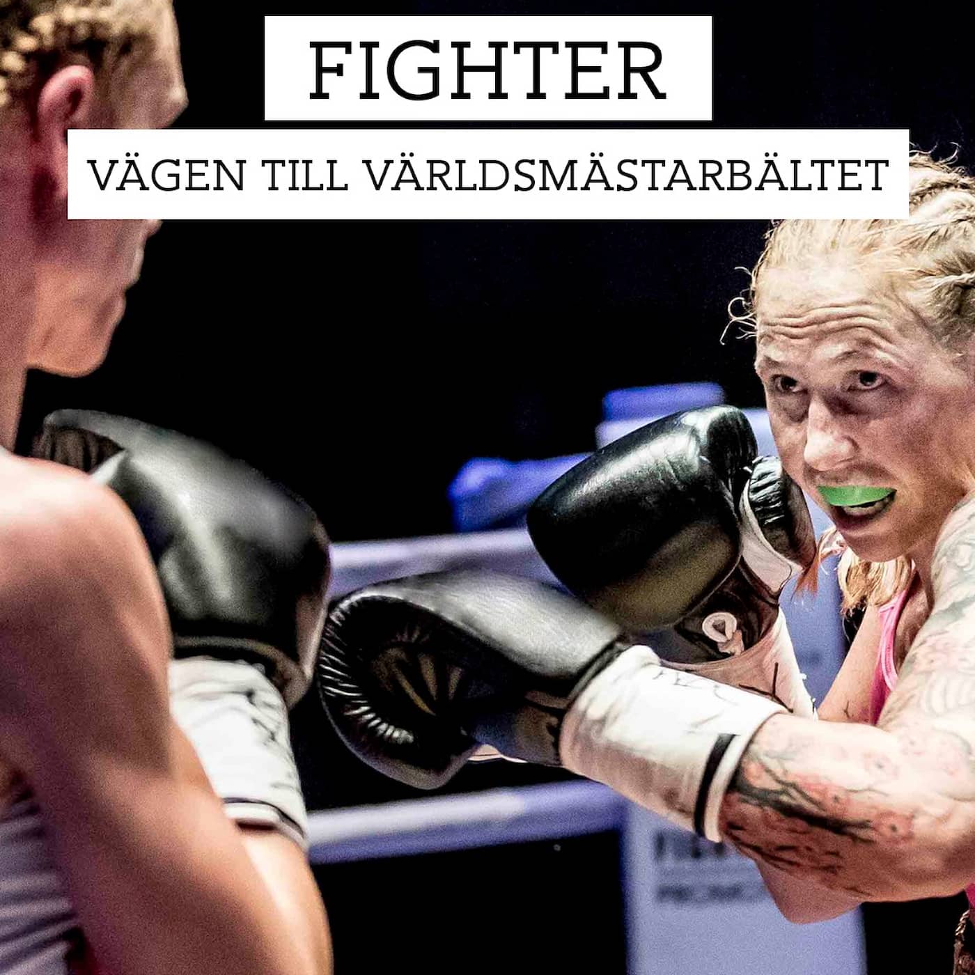 Fighter - vägen till världsmästarbältet artwork