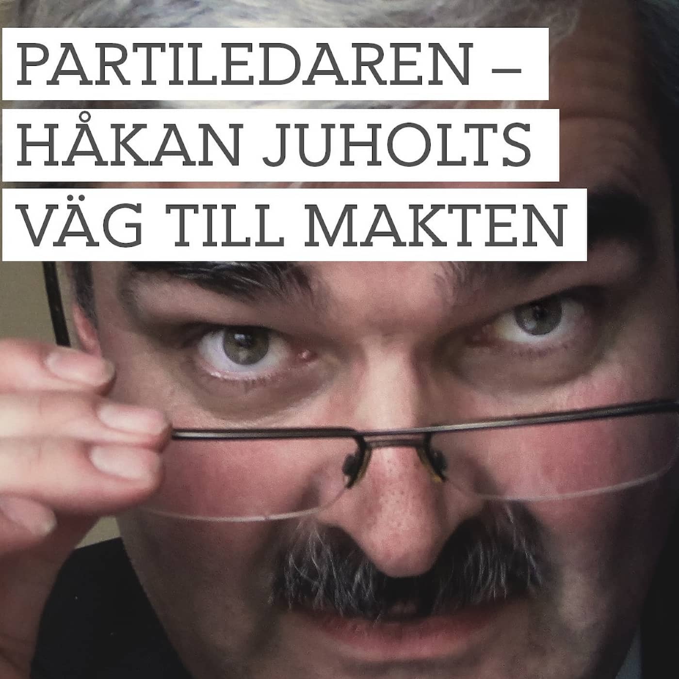 Partiledaren – Håkan Juholts väg till makten artwork