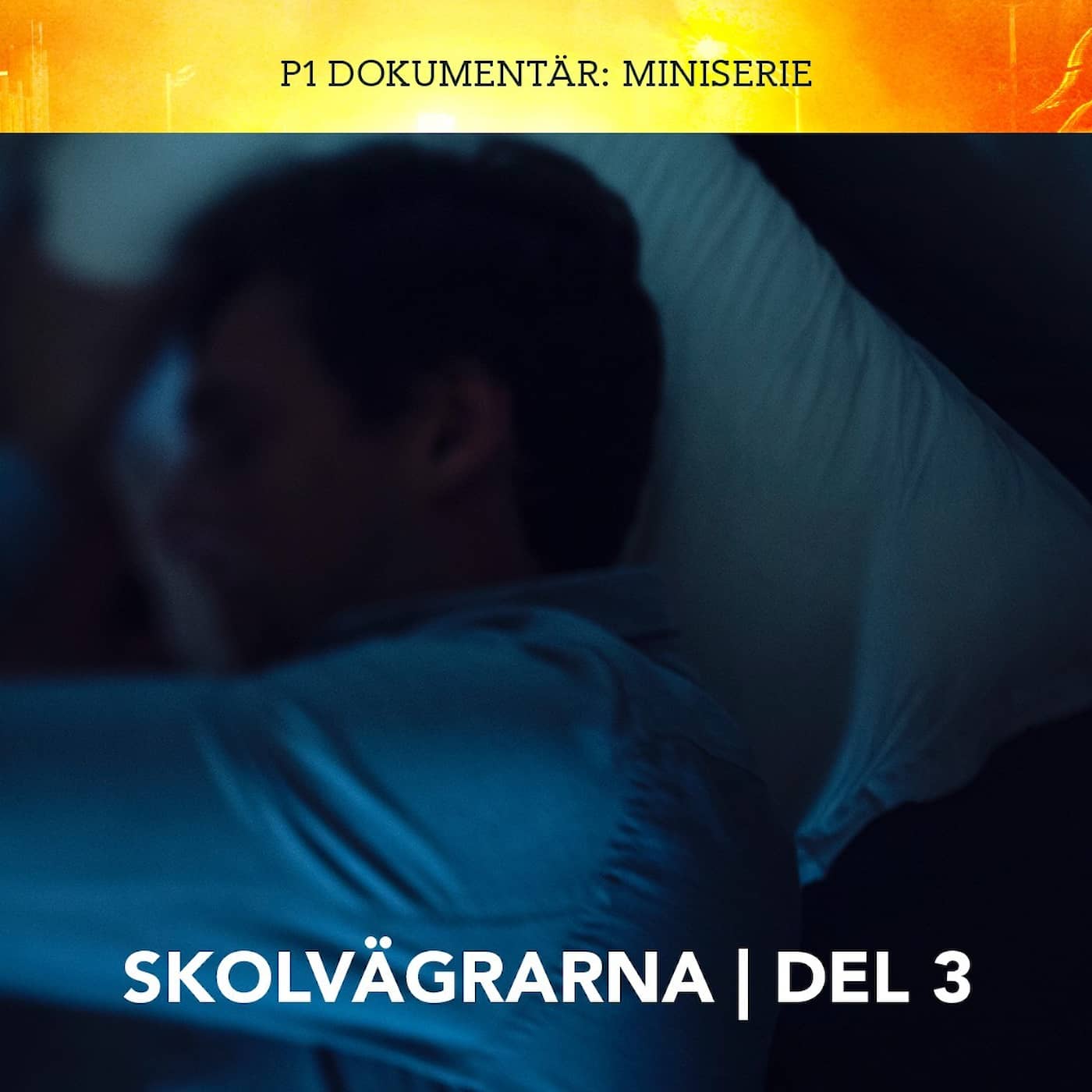 Skolvägrarna – Lång väg tillbaka | del 3 artwork