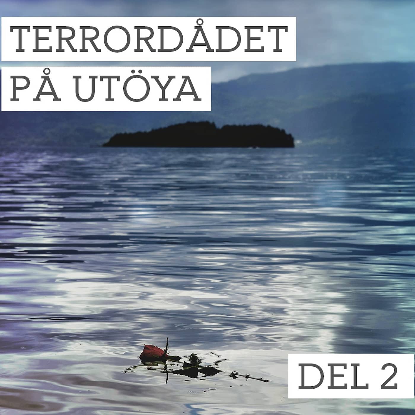 Del 2/3. Terrordådet på Utöya - Vem är Anders Behring Breivik? artwork