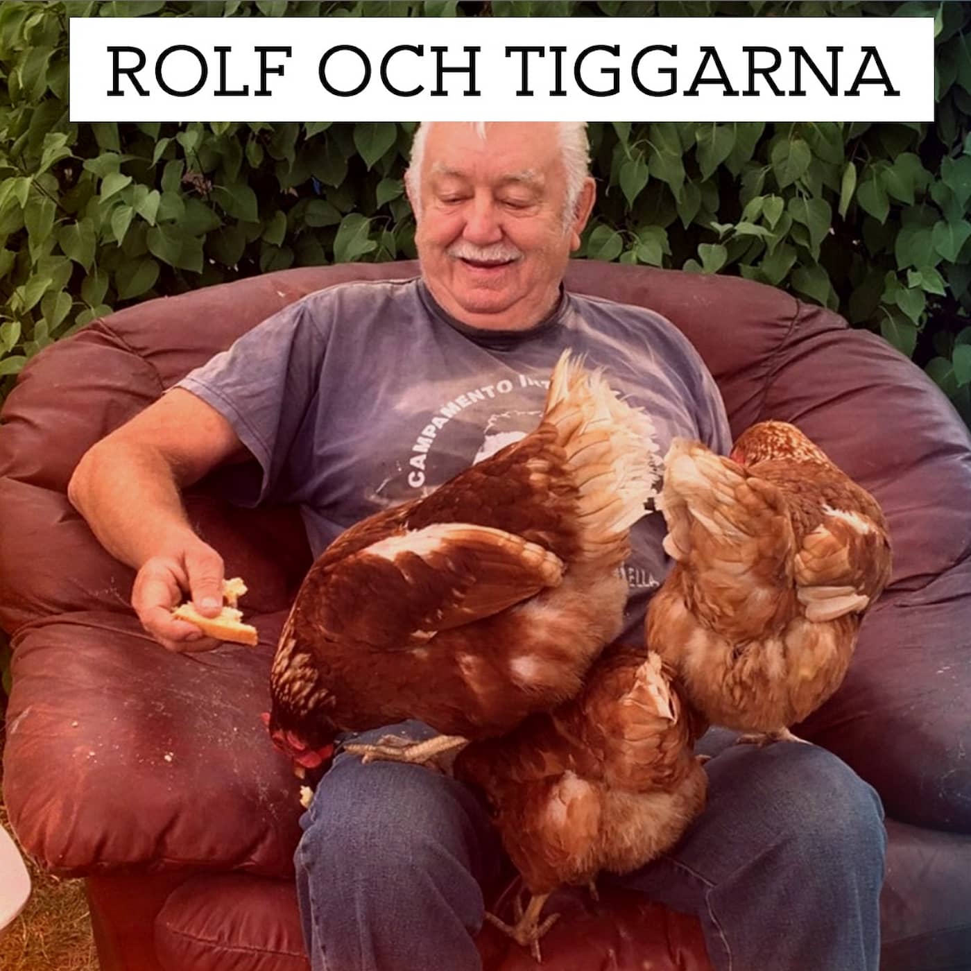 Rolf och tiggarna: En misstänk liga flyttar in artwork