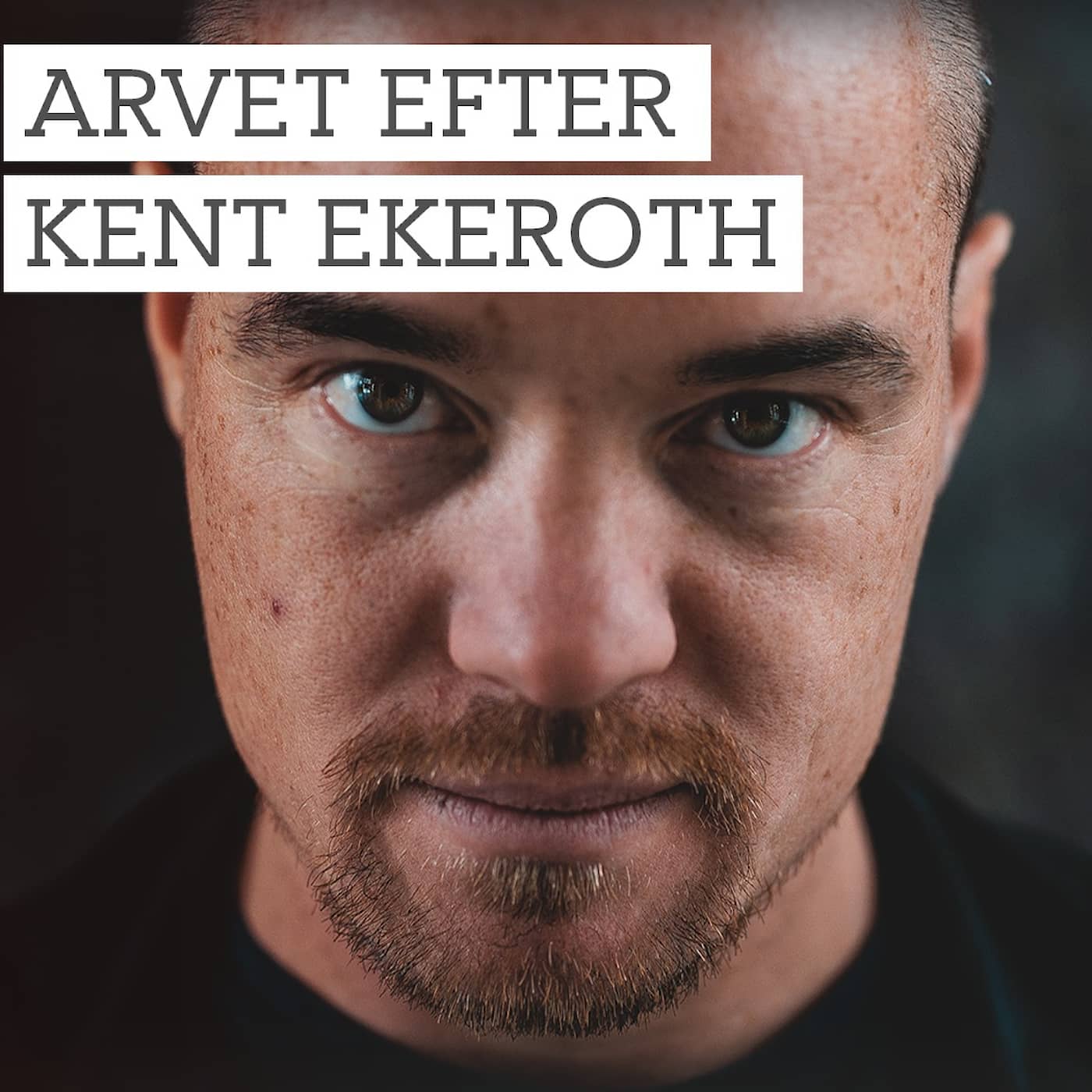Arvet efter Kent Ekeroth artwork